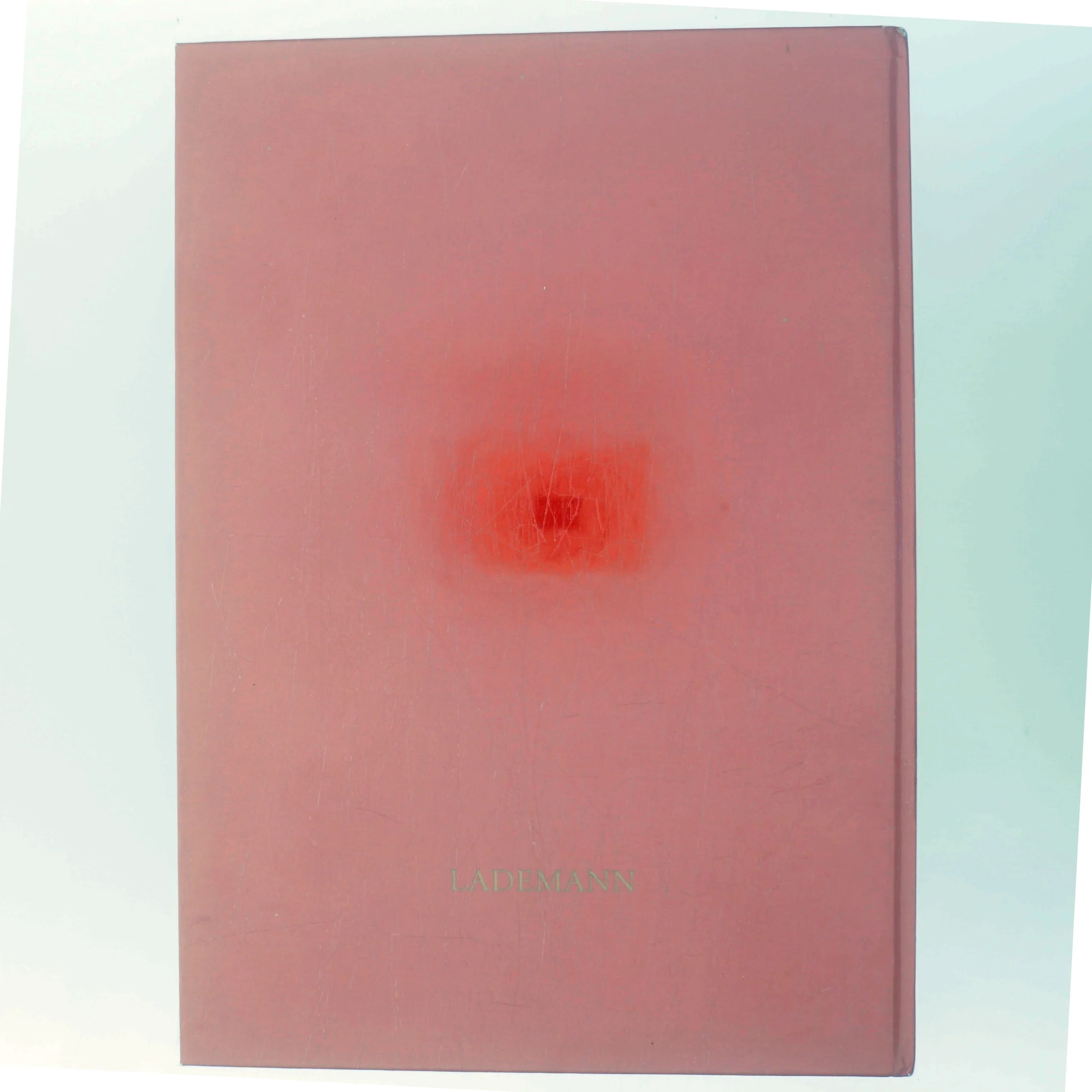 Kongehusets År 1993 (Bog)