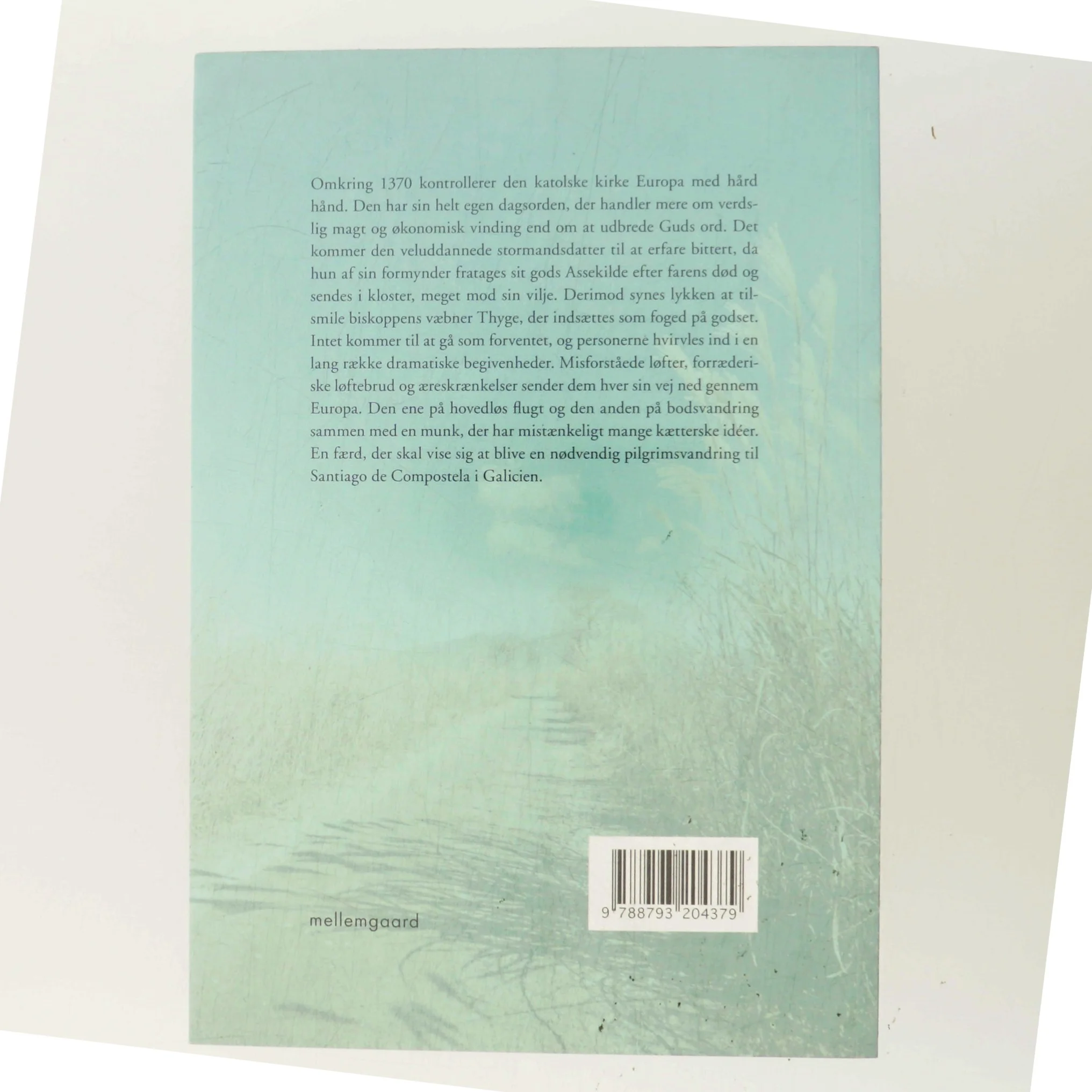 Pilgrimme på verdens veje af Marie Wigley Sørensen (f. 1950) (Bog)