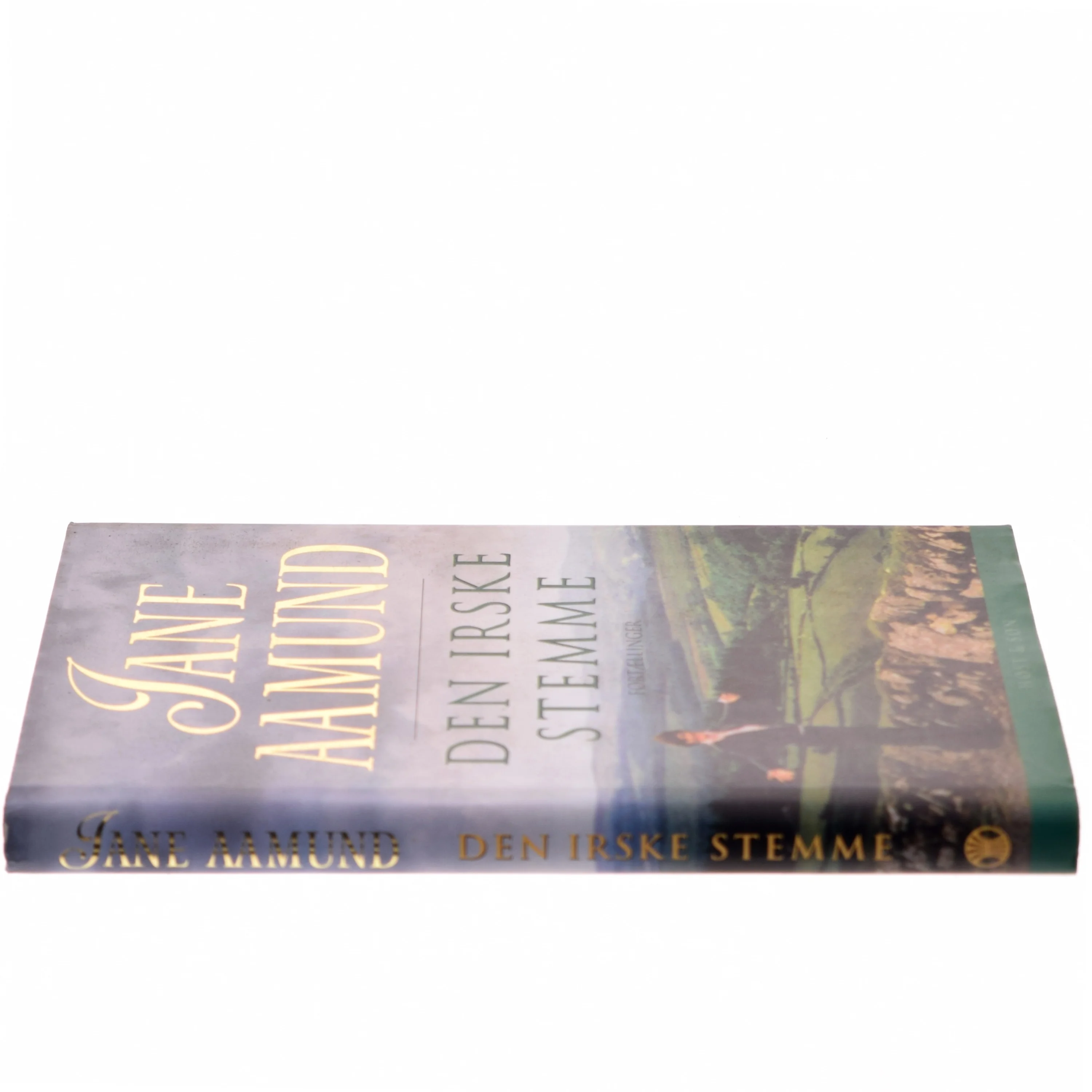 Den irske stemme : fortællinger af Jane Aamund (Bog)