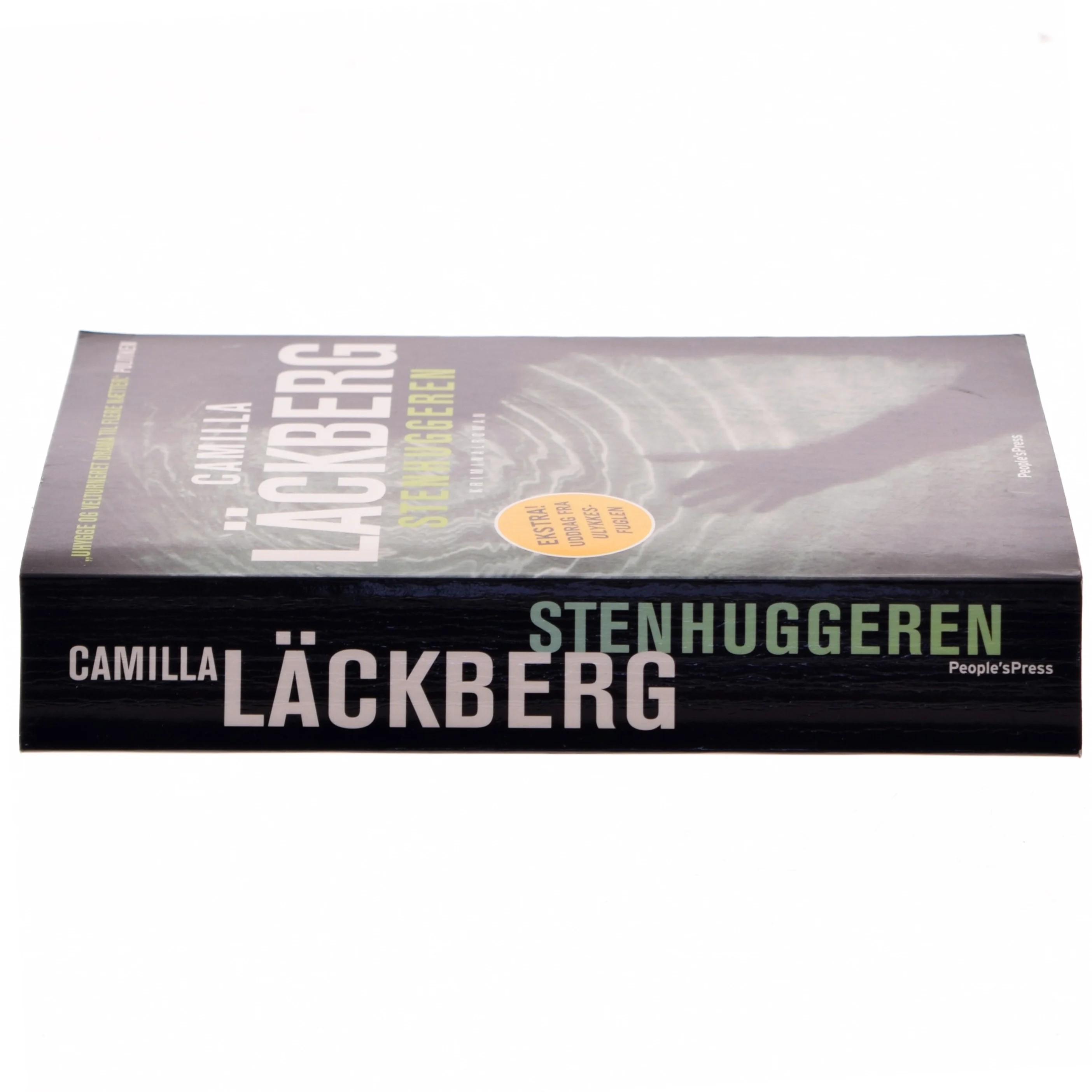Stenhuggeren : kriminalroman af Camilla Läckberg (Bog)
