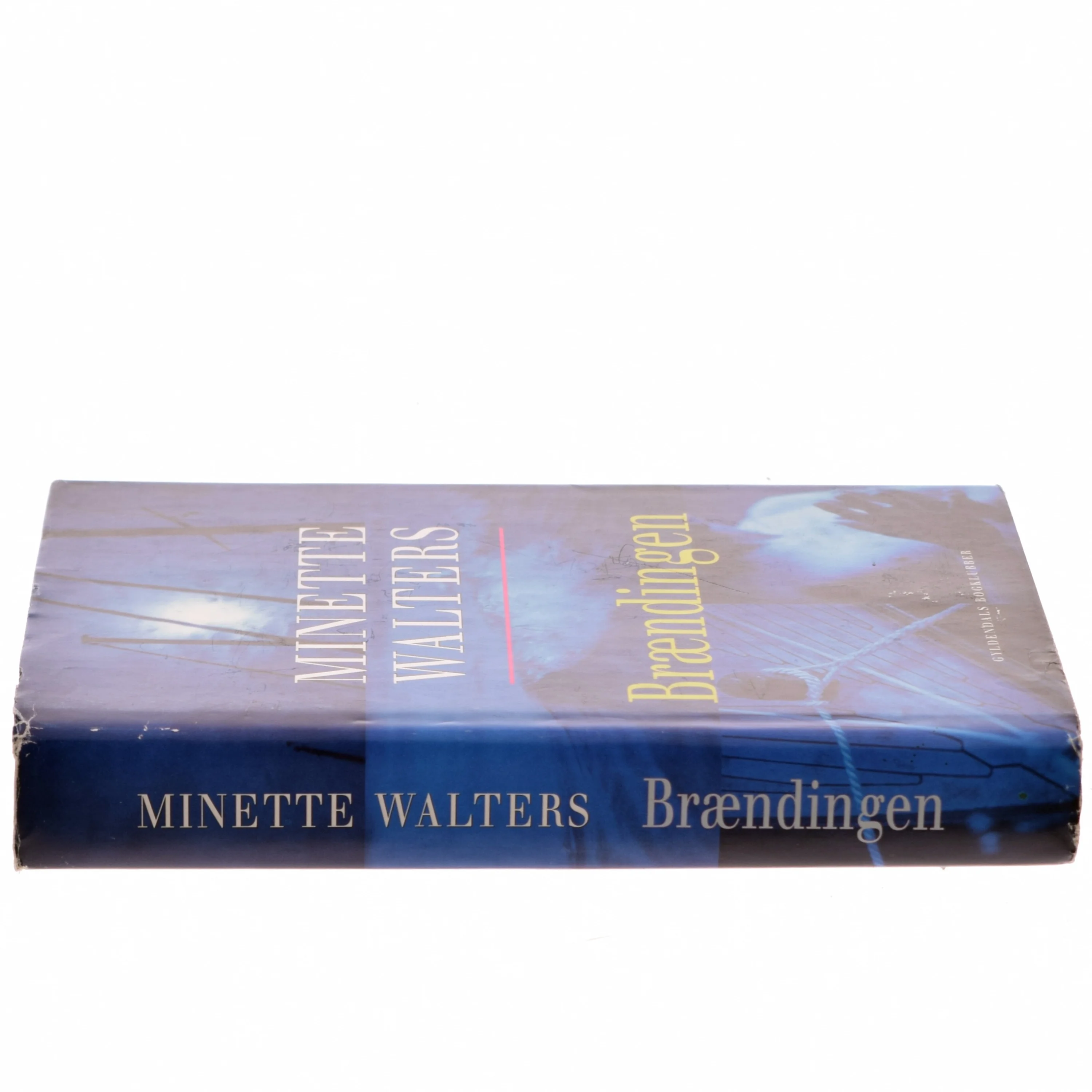 Brændingen : kriminalroman af Minette Walters (Bog)