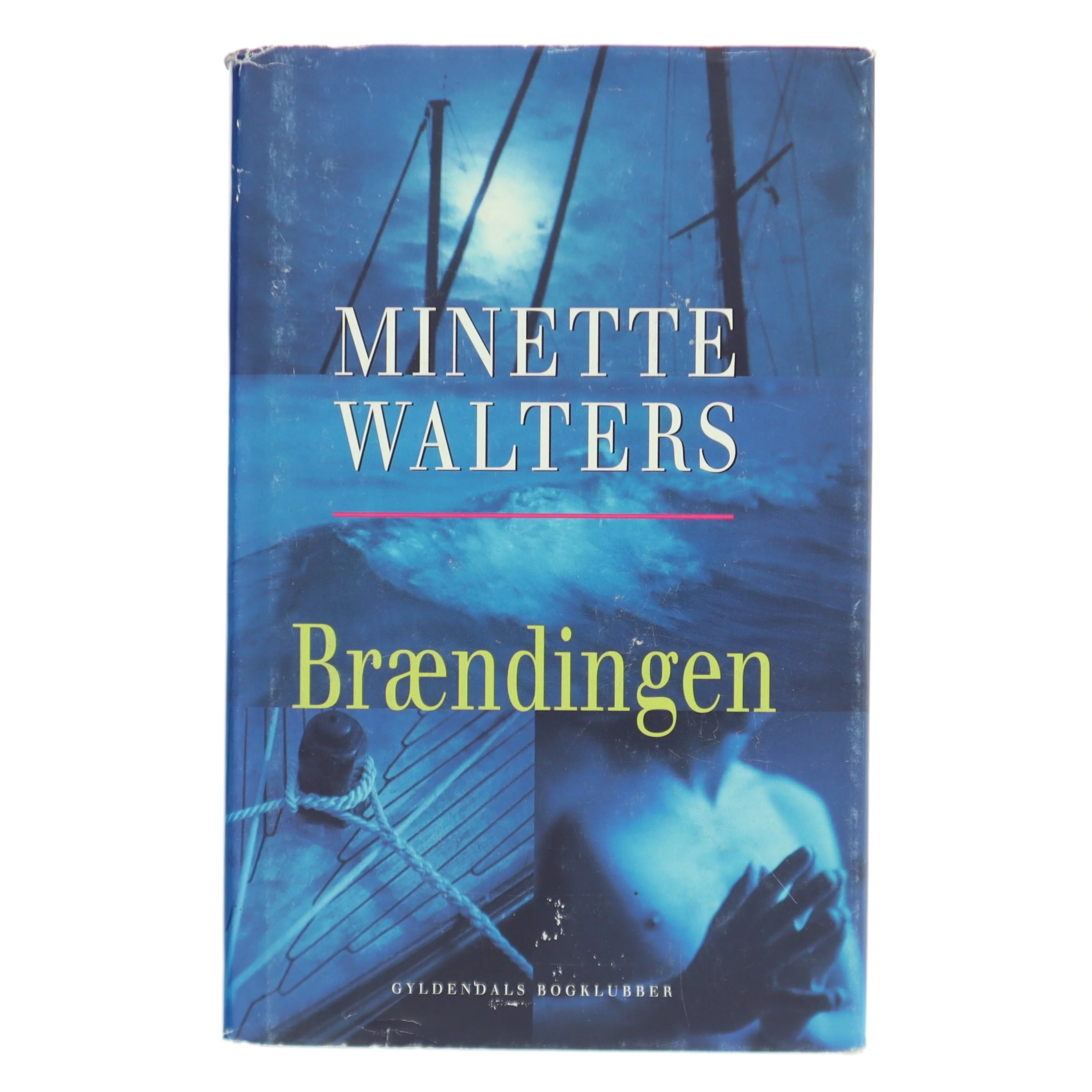Brændingen : kriminalroman af Minette Walters (Bog)