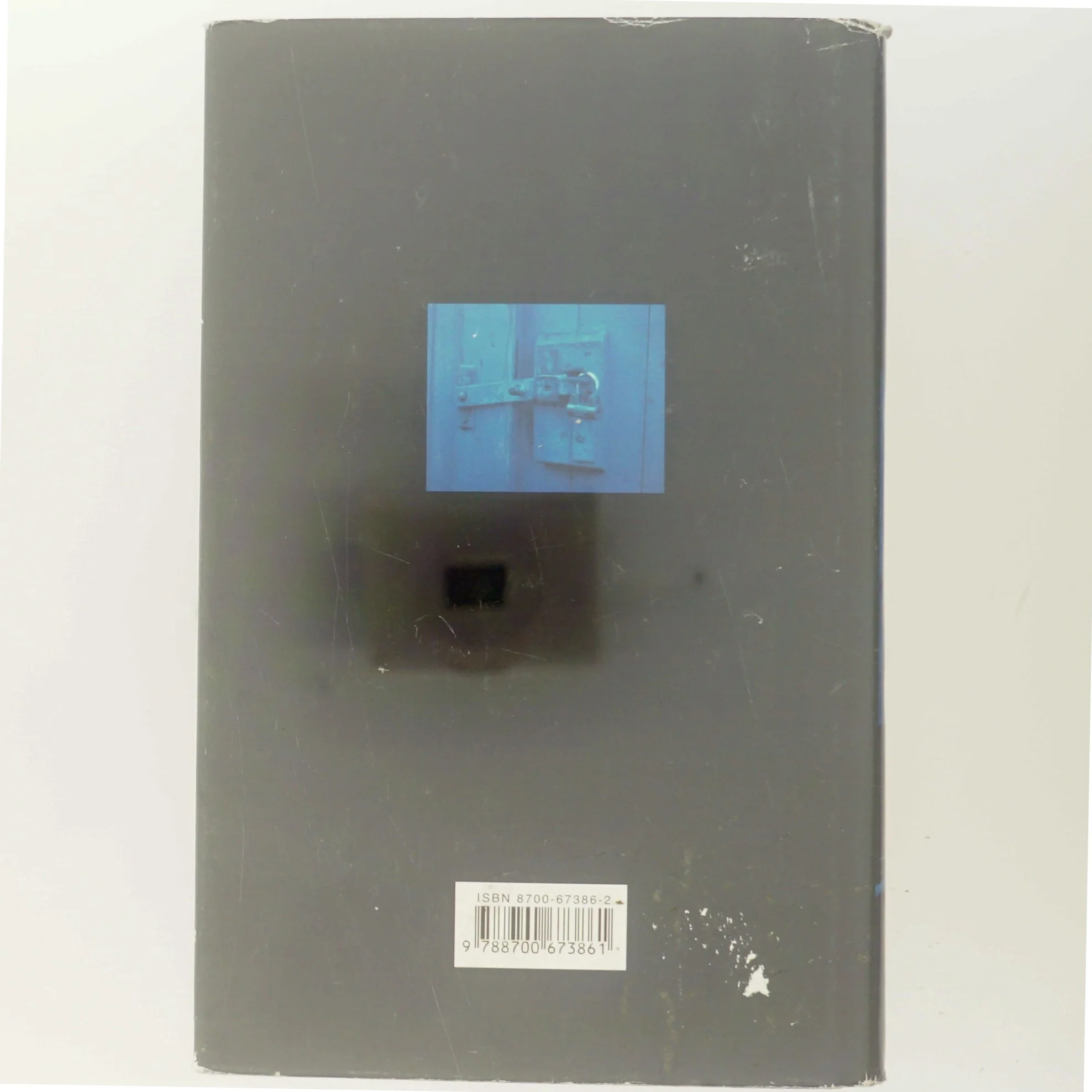 Brændingen : kriminalroman af Minette Walters (Bog)