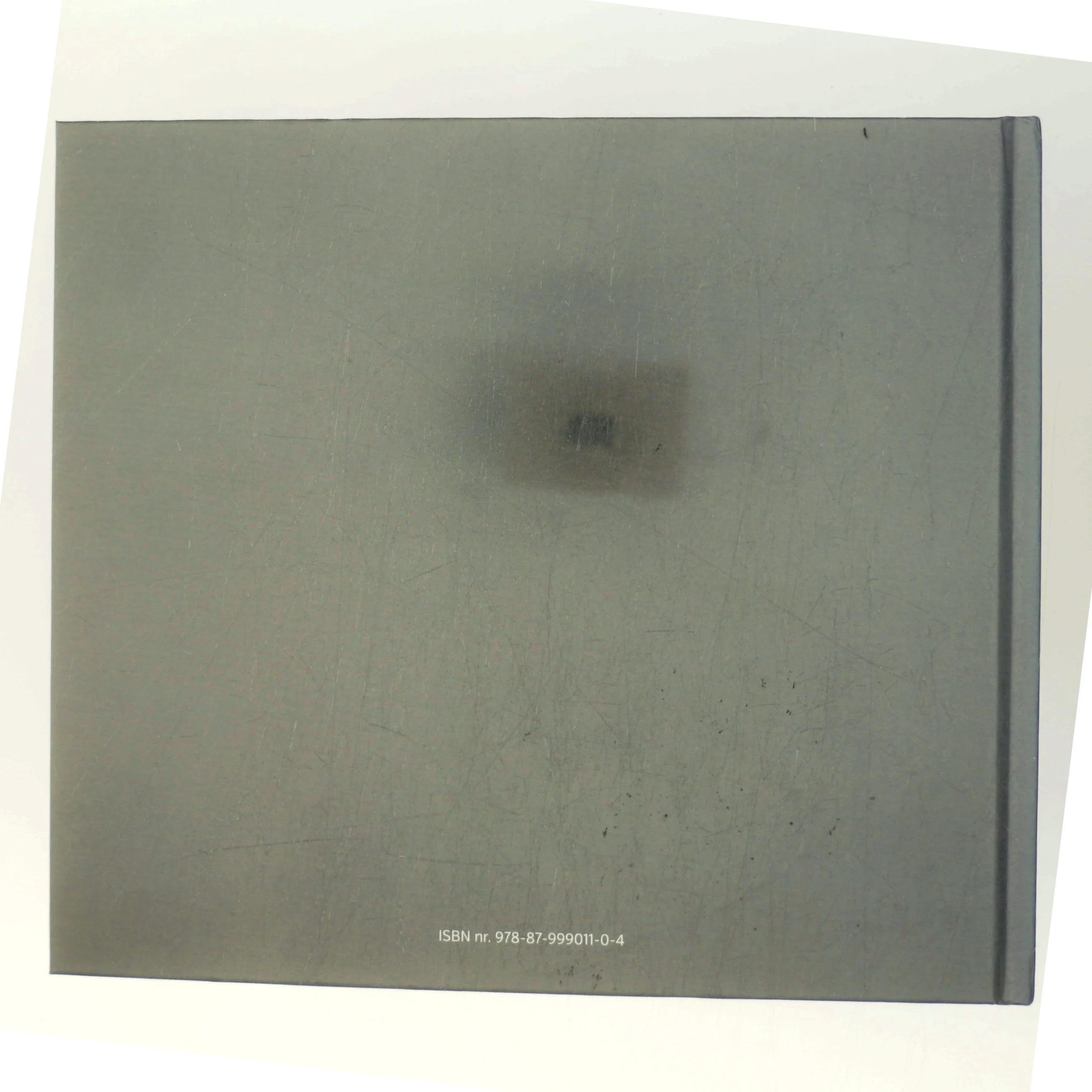 Vingesus af Henrik Haaning Nielsen (Bog)