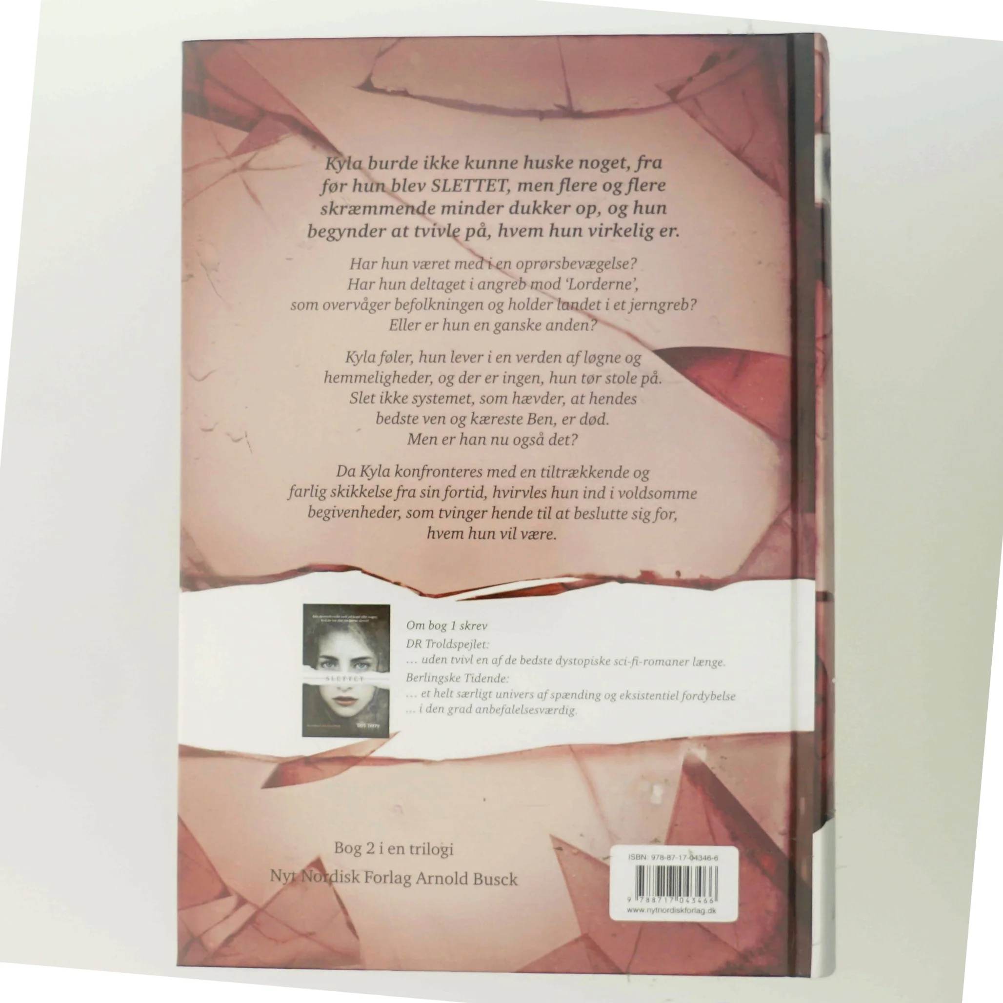 Splittet af Teri Terry (Bog)