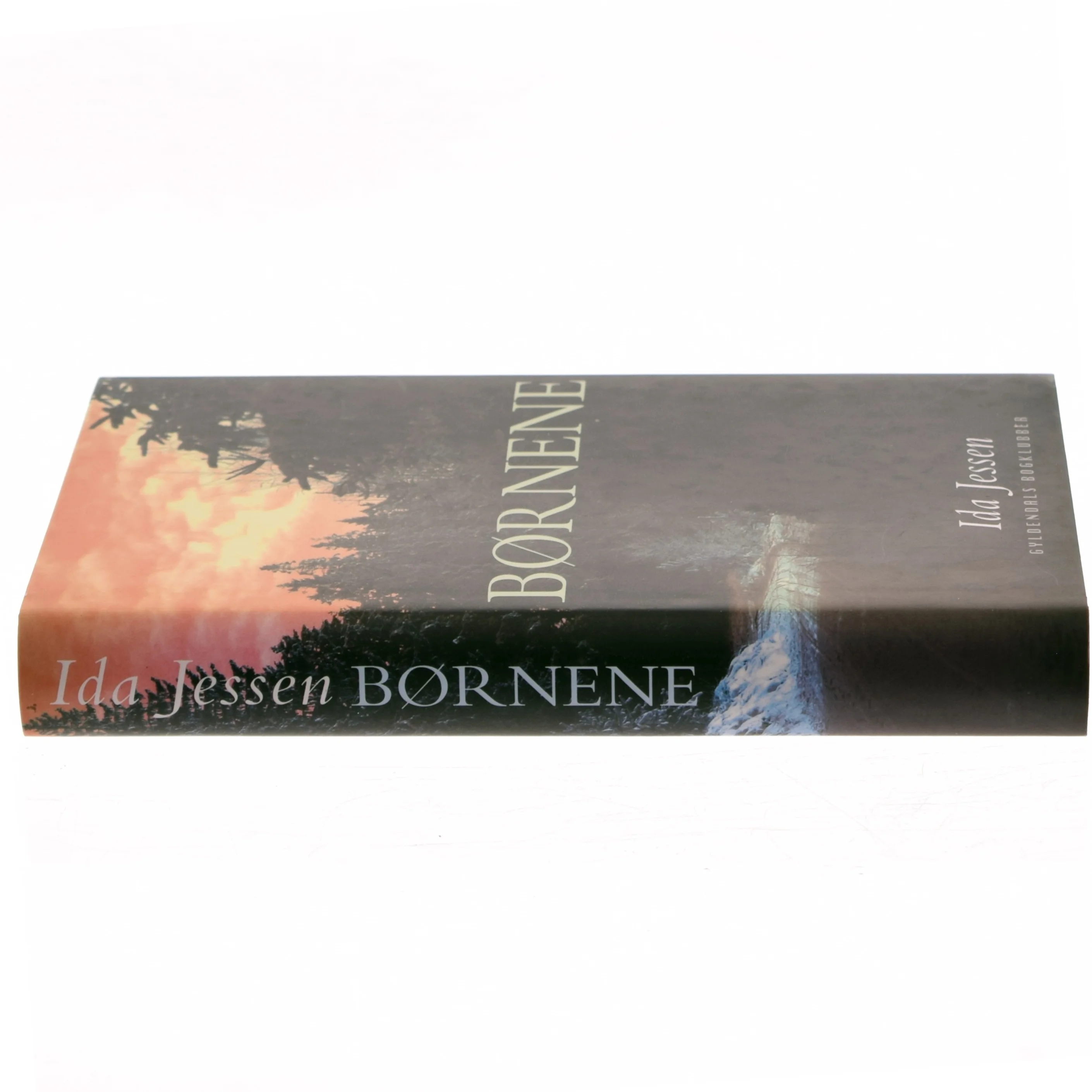 Børnene af Ida Jessen (Bog)