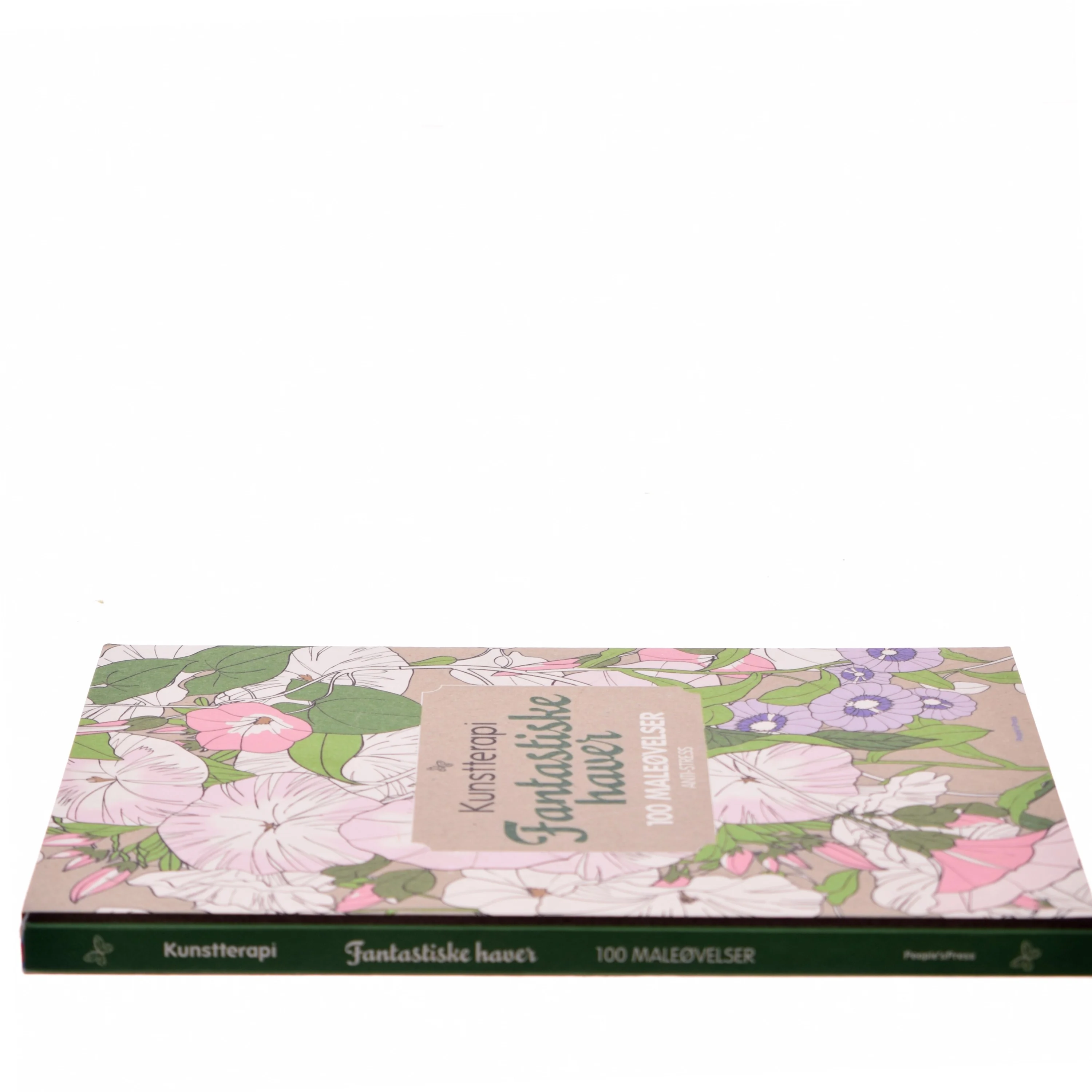 Fantastiske haver : 100 maleøvelser : anti-stress (Bog)