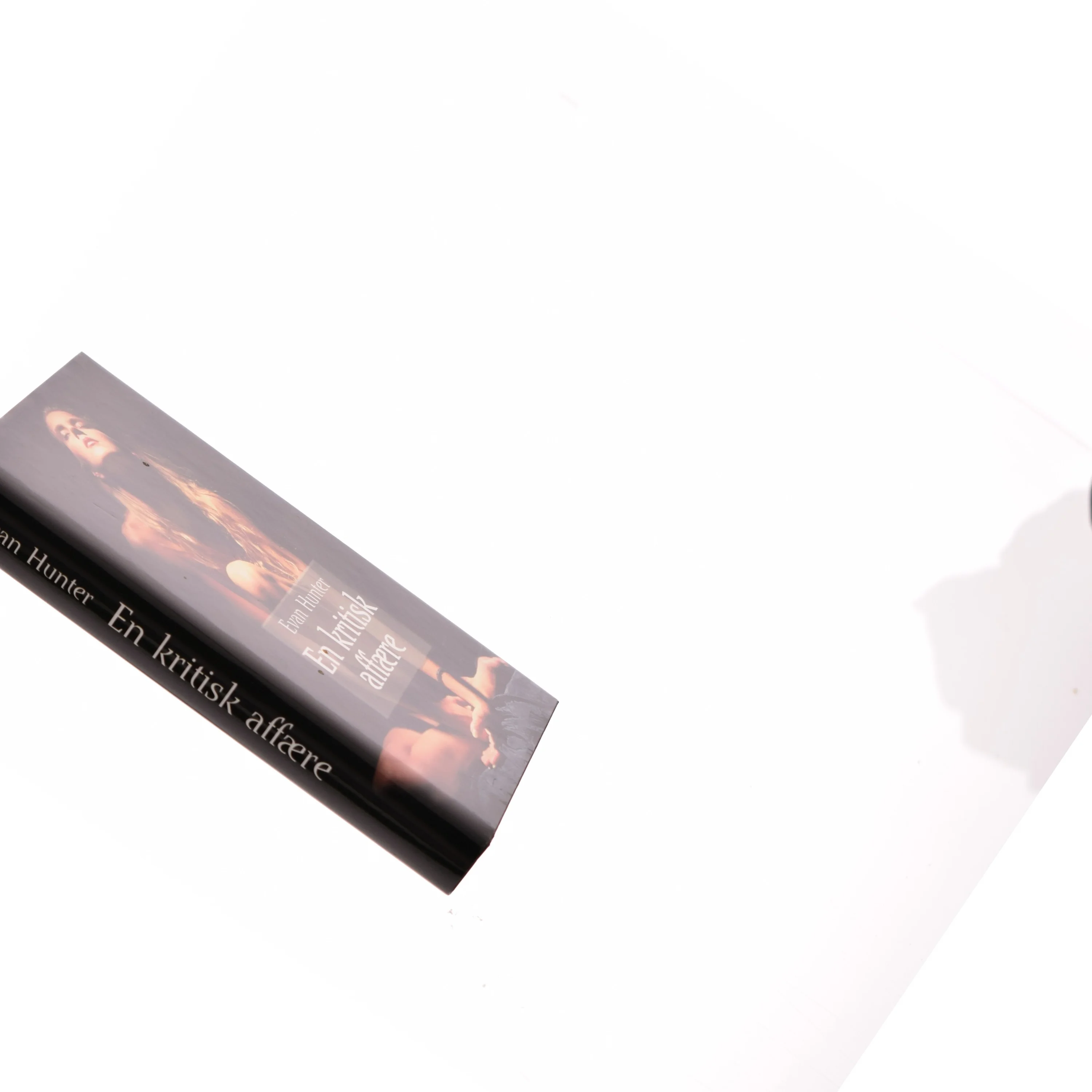 En kritisk affære (bog)