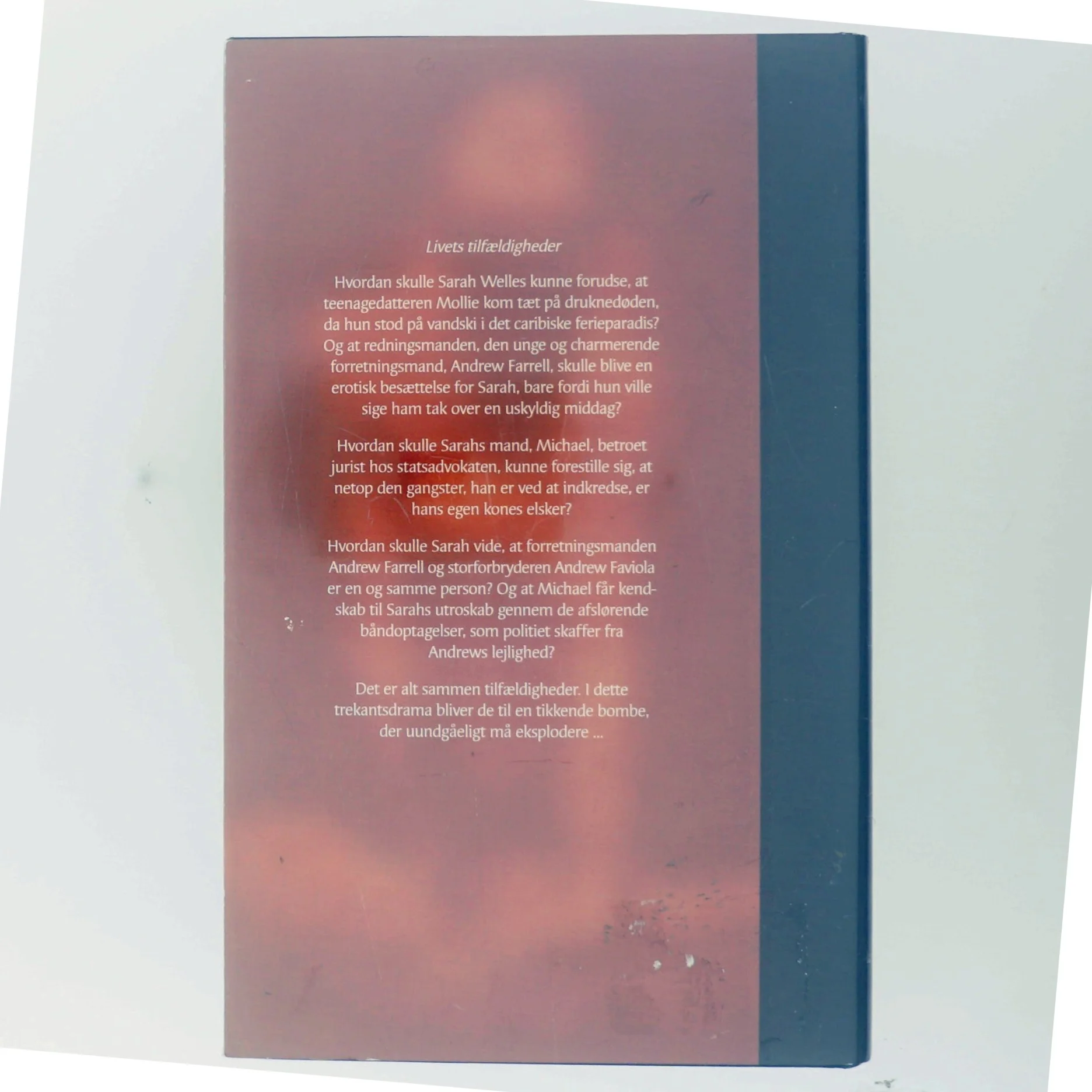 En kritisk affære (bog)