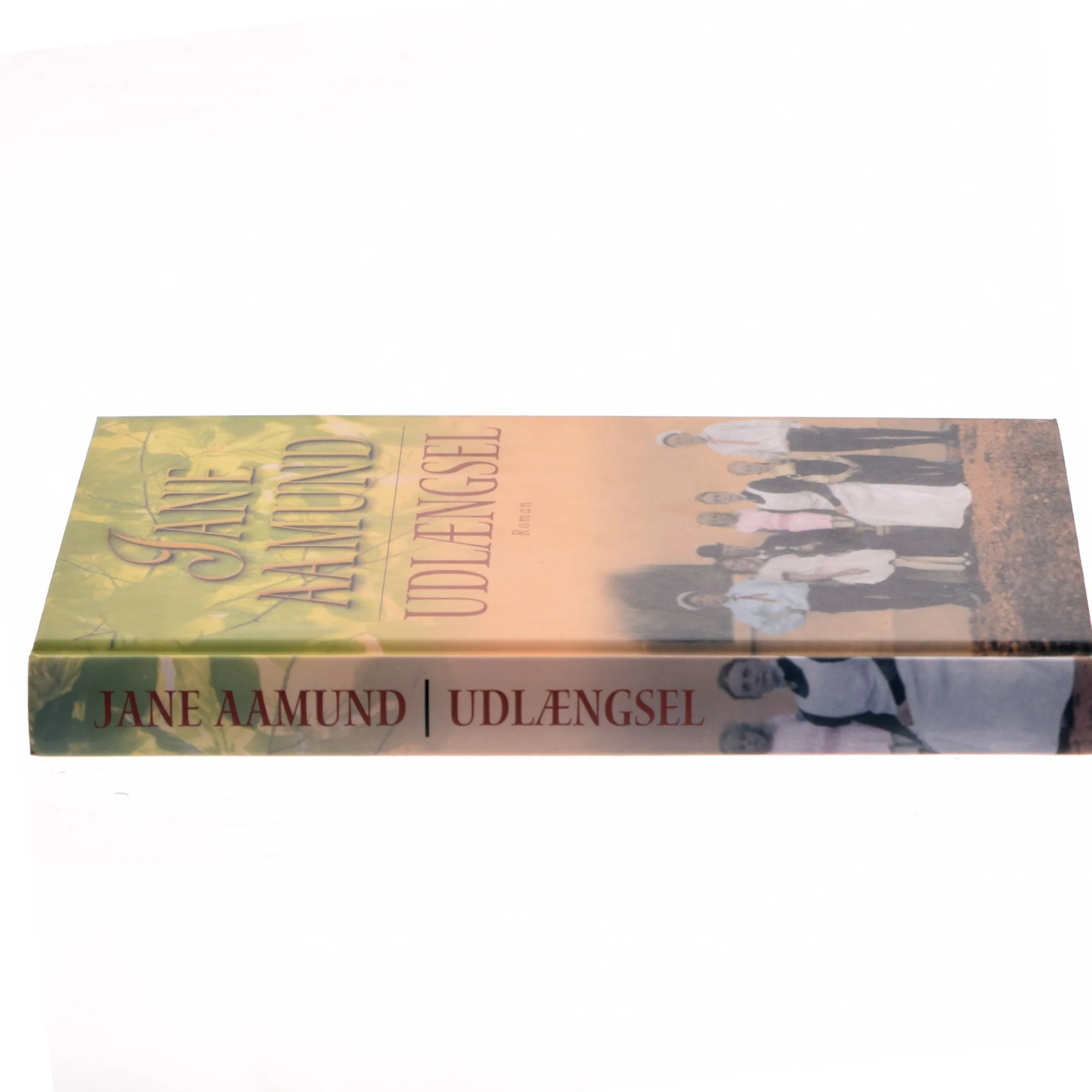 Udlængsel af Jane Aamund (Bog)