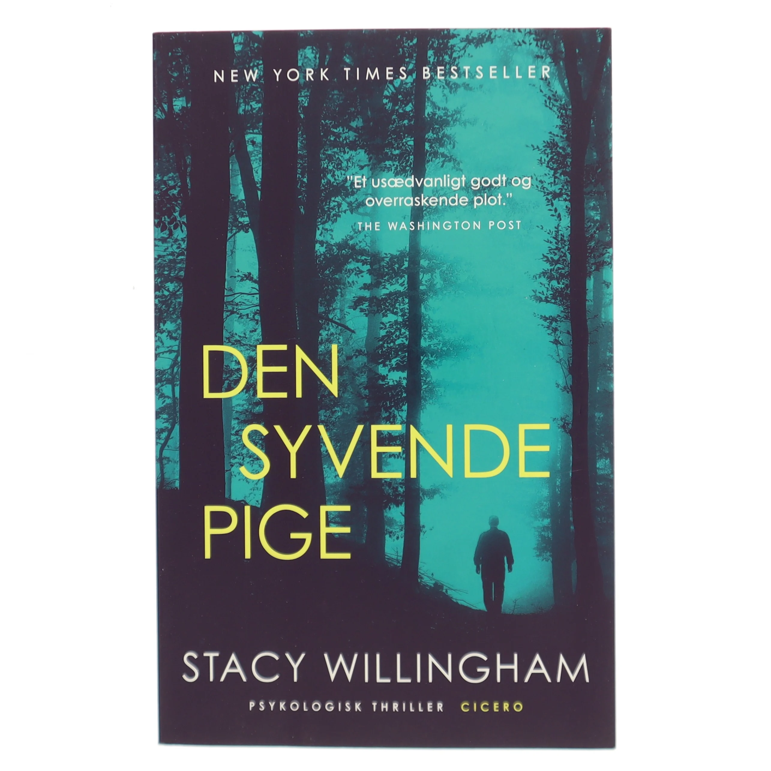 Den syvende pige af Stacy Willingham (Bog)