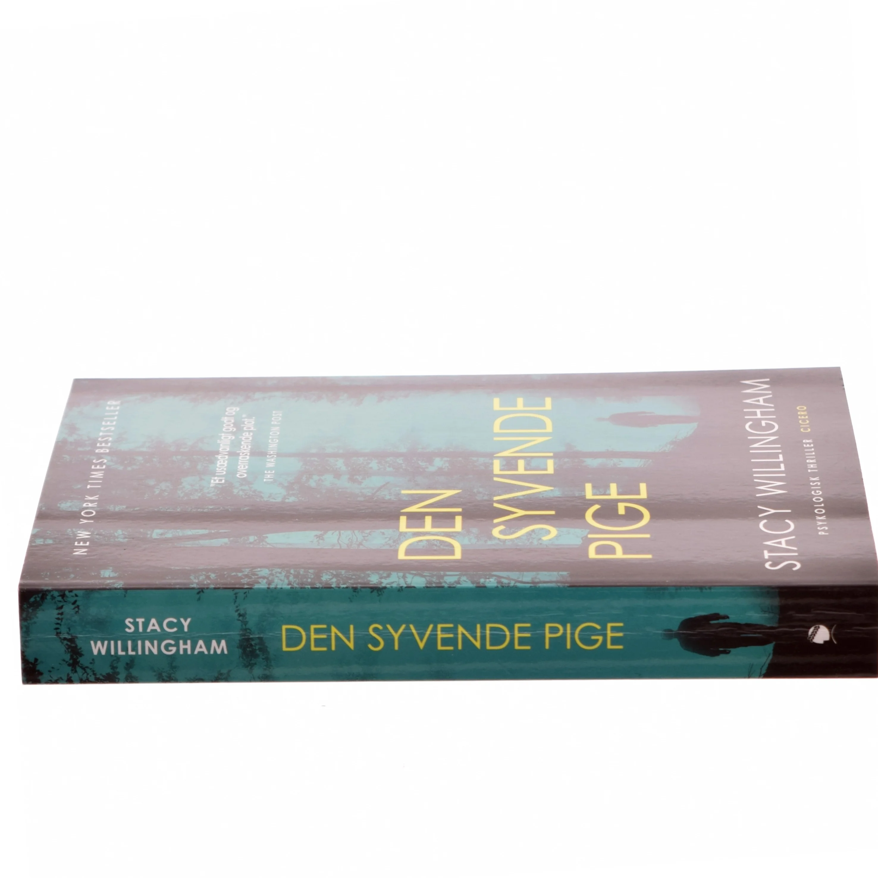 Den syvende pige af Stacy Willingham (Bog)