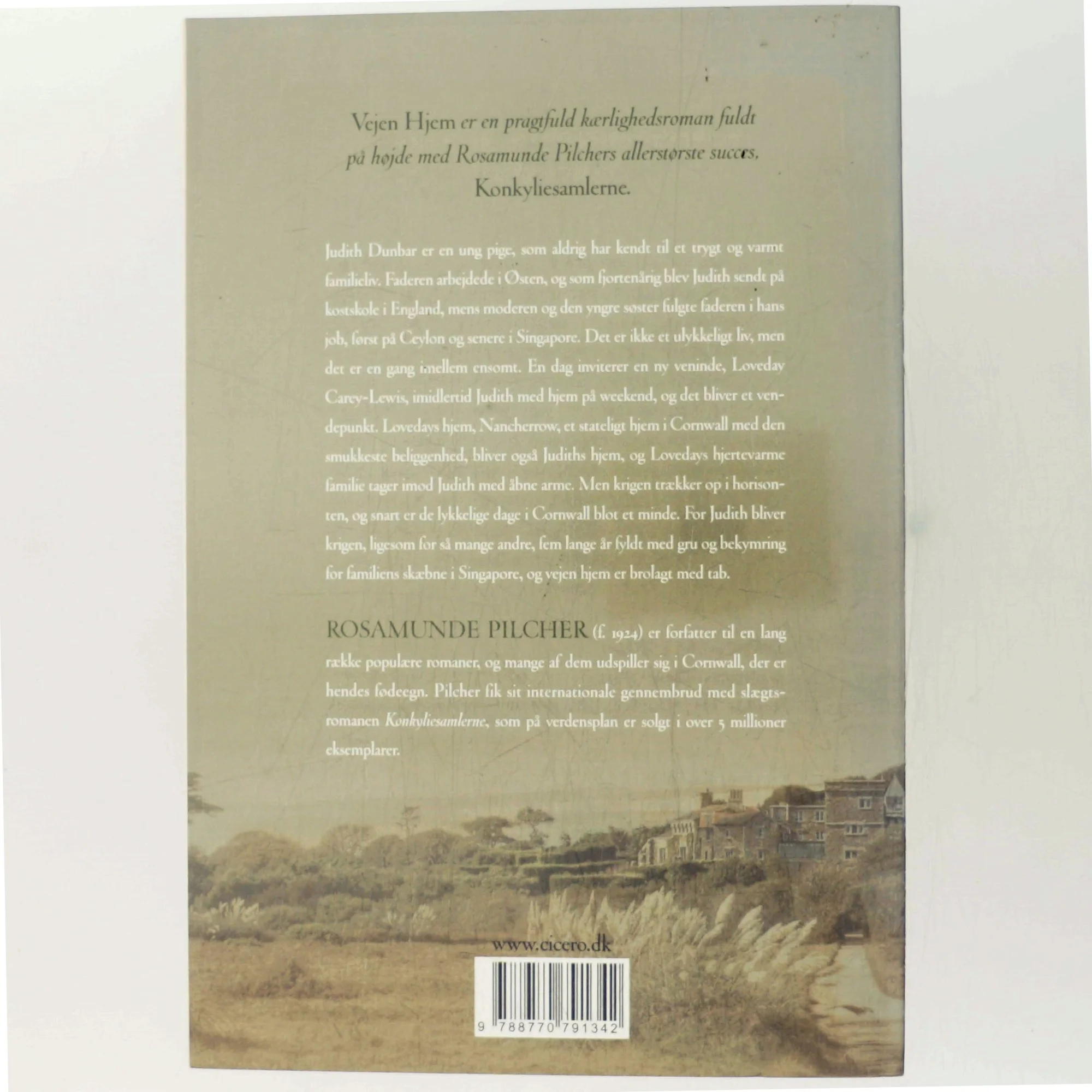 Vejen hjem af Rosamunde Pilcher (Bog)