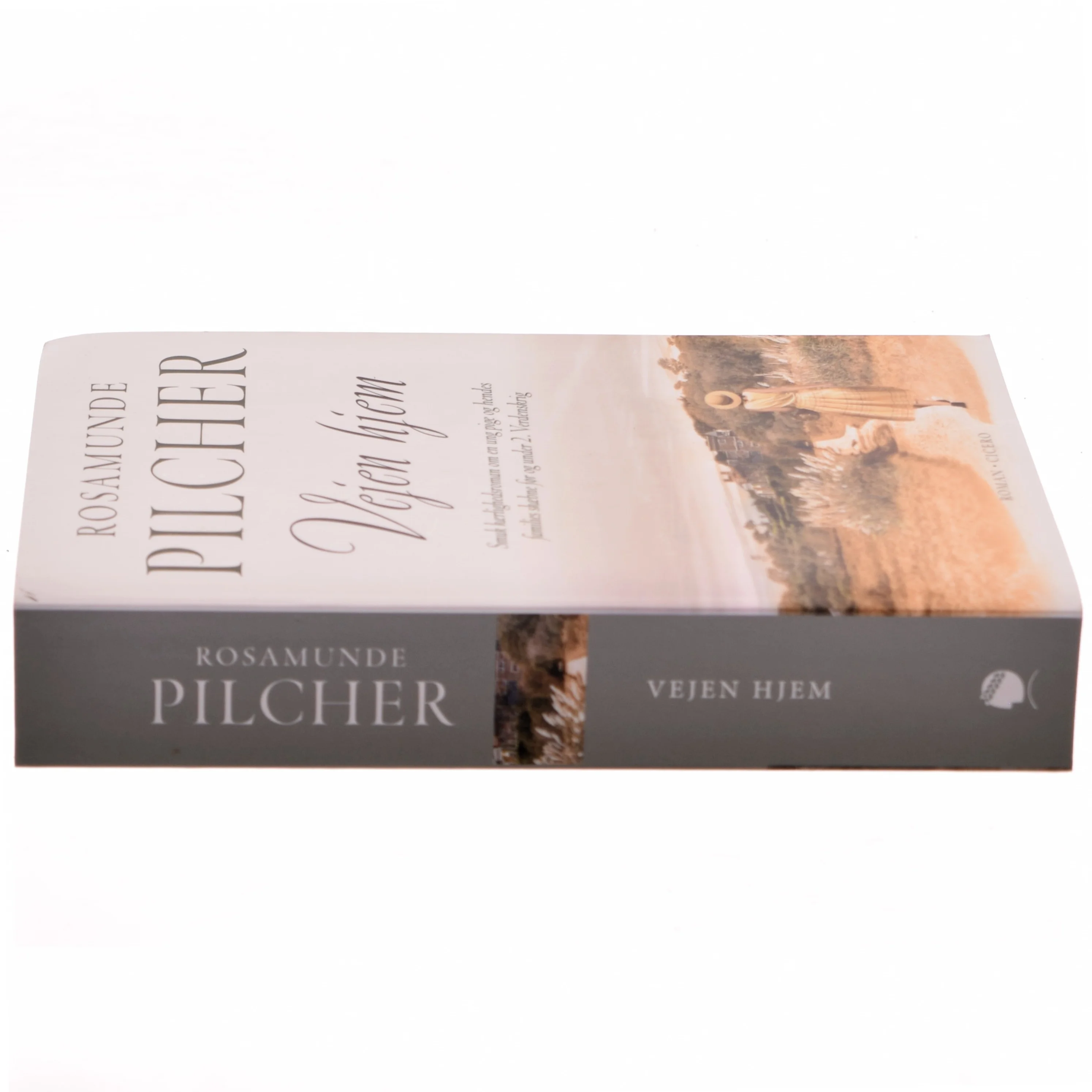 Vejen hjem af Rosamunde Pilcher (Bog)