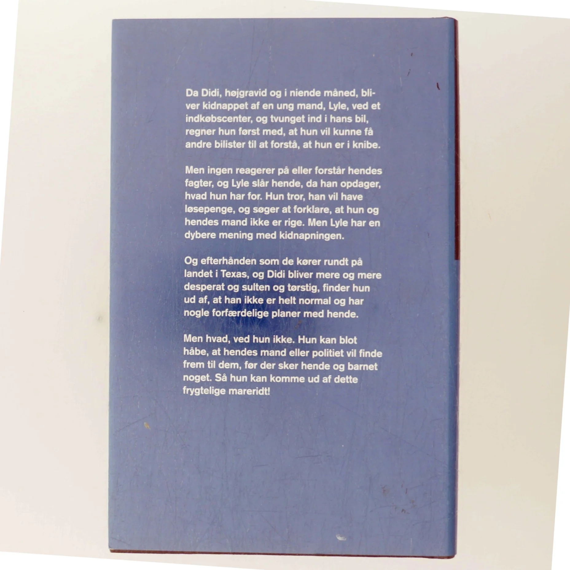 Elleve Timer af Paullina Simons (Bog)