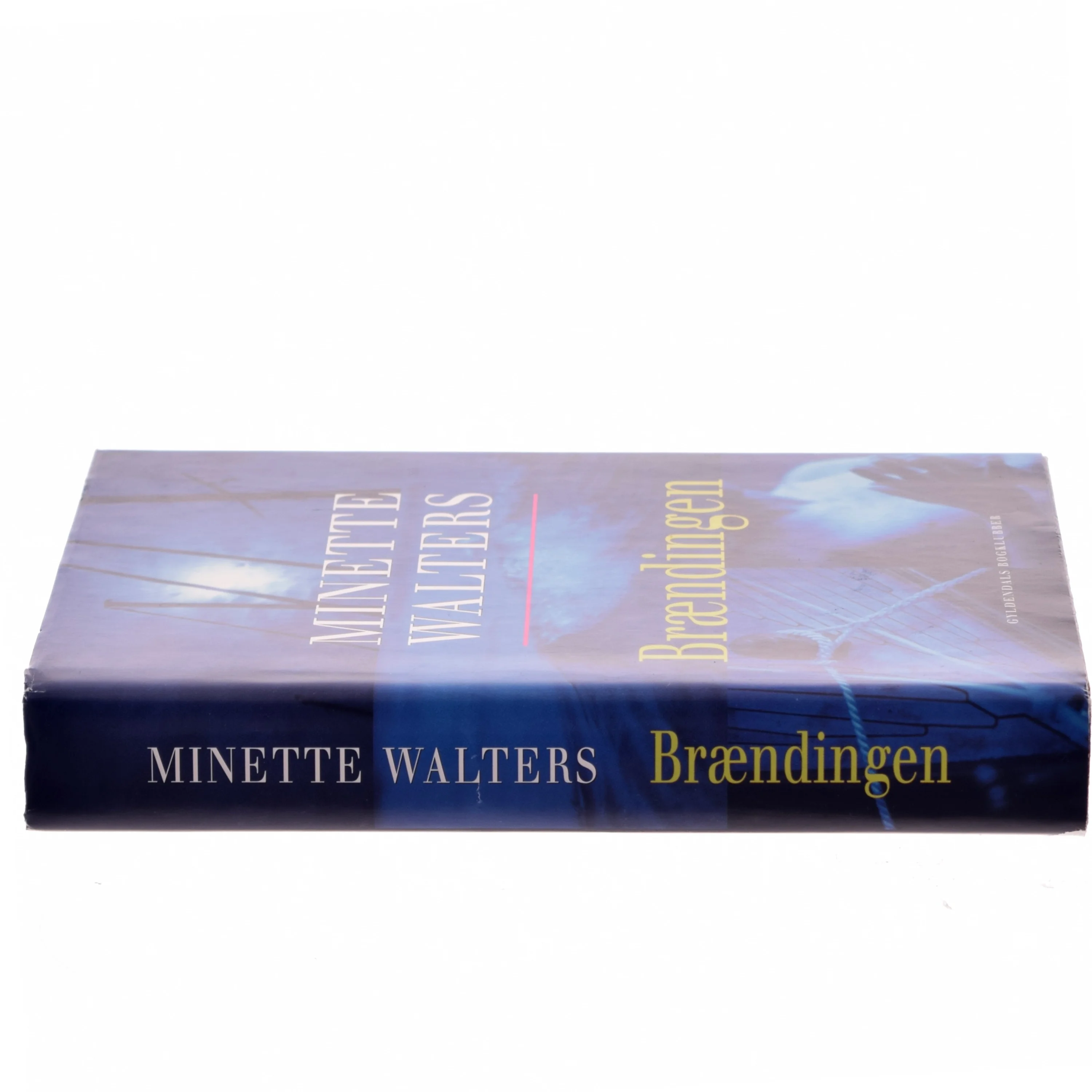 Brændingen : kriminalroman af Minette Walters (Bog)