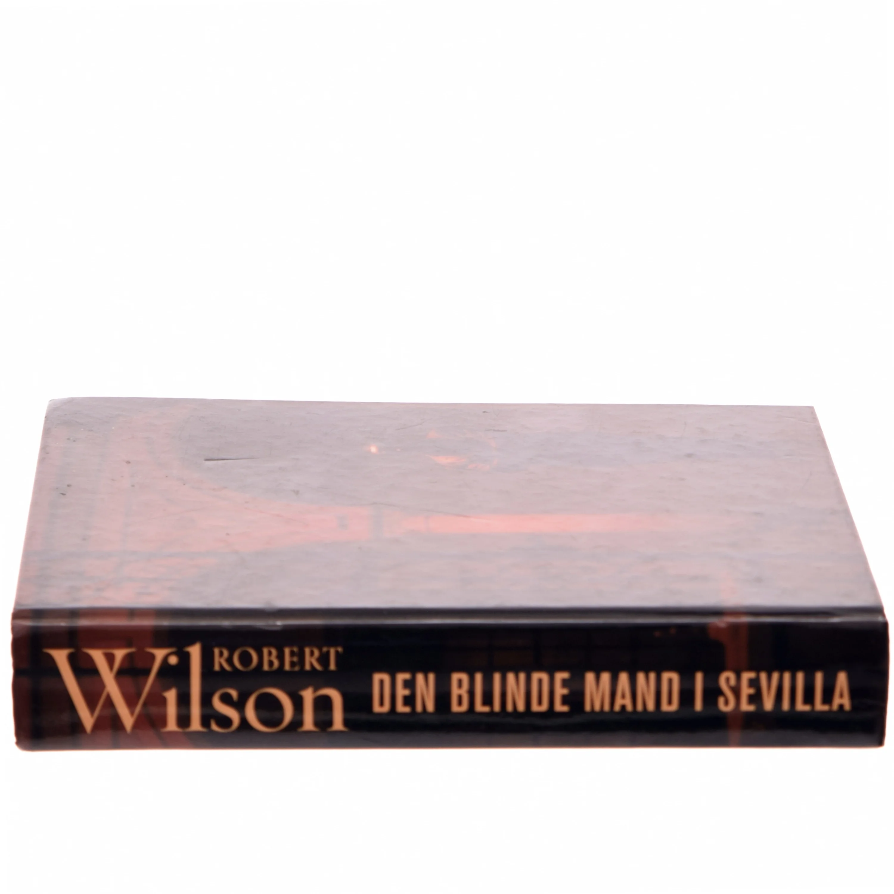 Den Blinde Mand i Sevilla af Robert Wilson