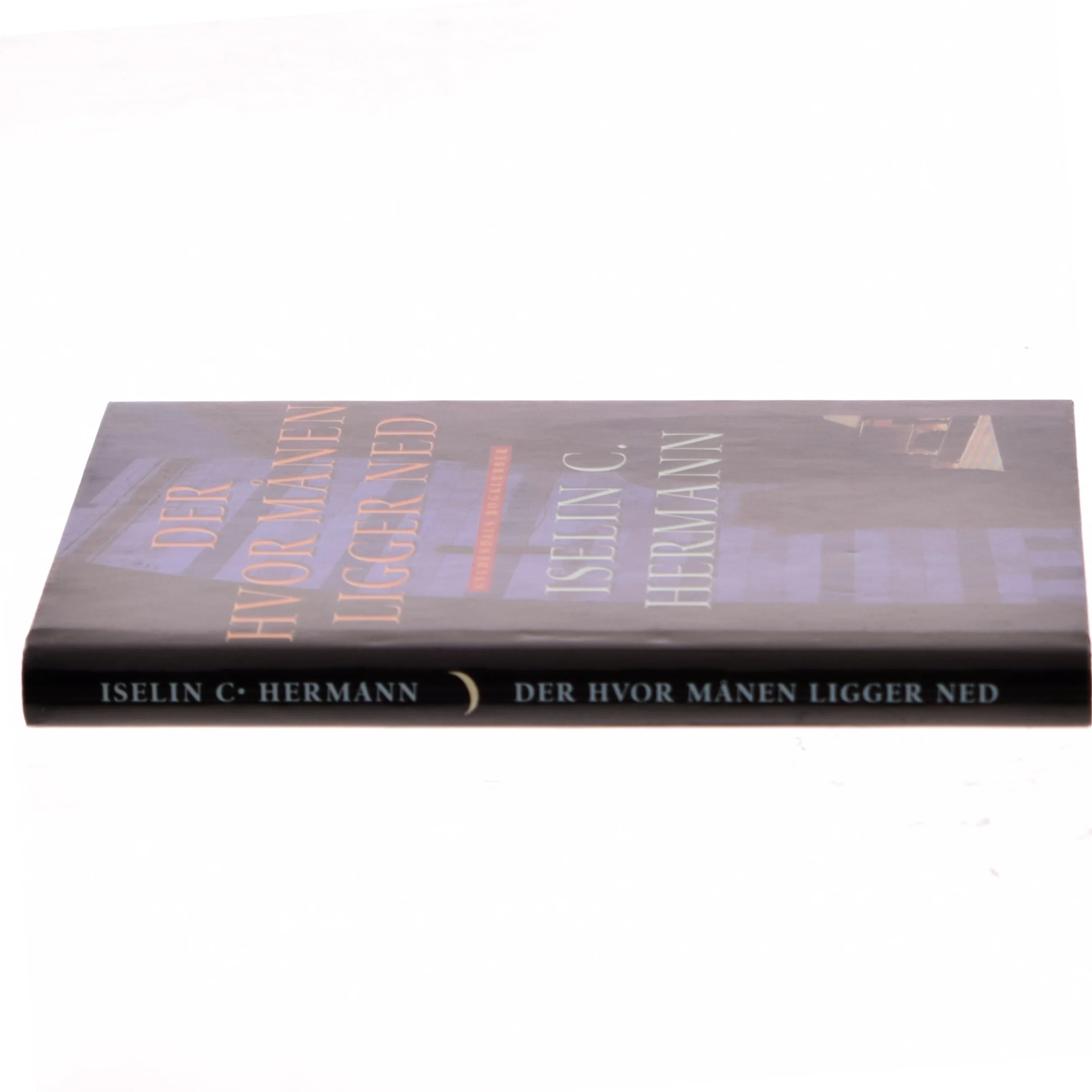 Der hvor månen ligger ned : roman af Iselin C. Hermann (Bog)