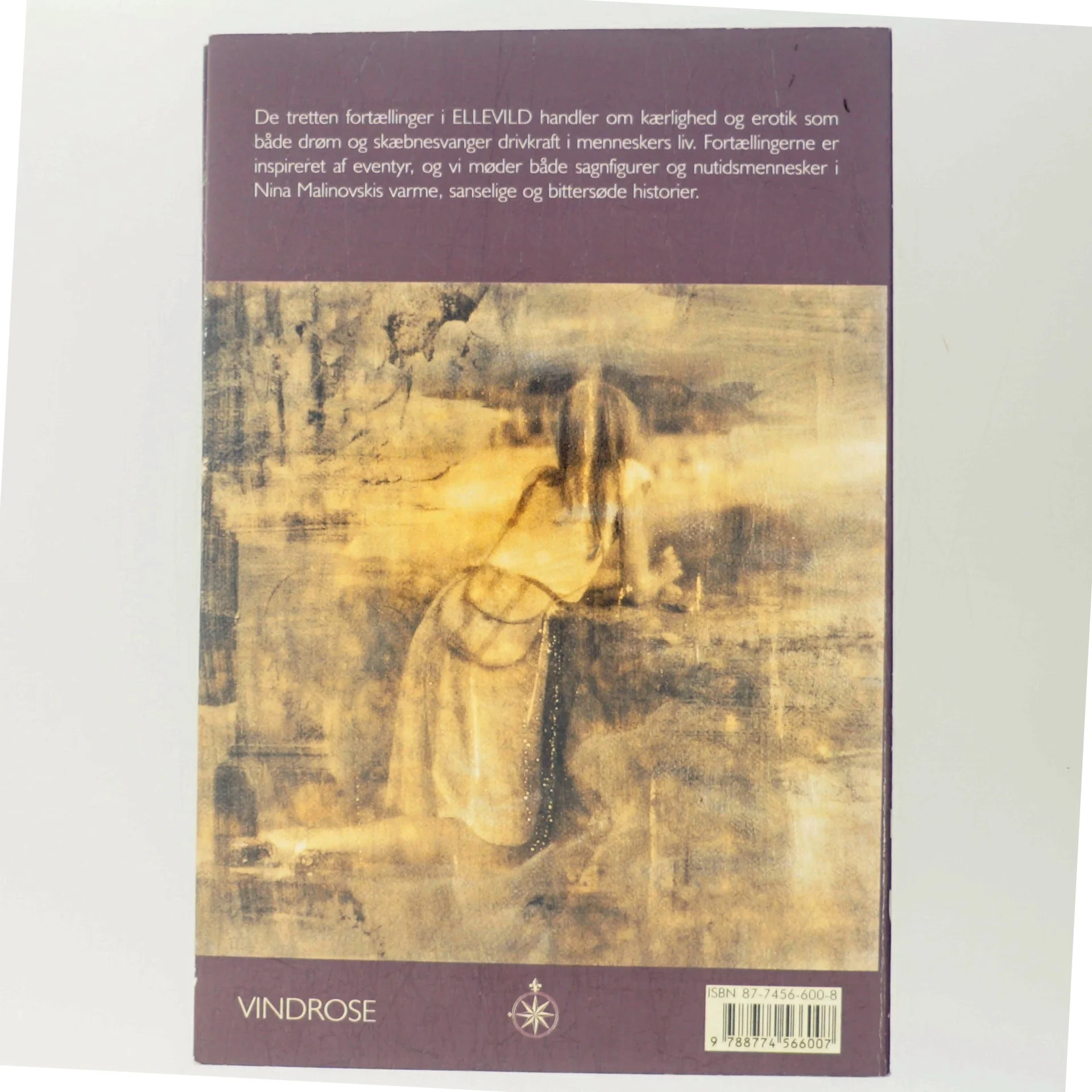 Ellevild : fortællinger (Fortællinger) af Nina Malinovski (Bog)