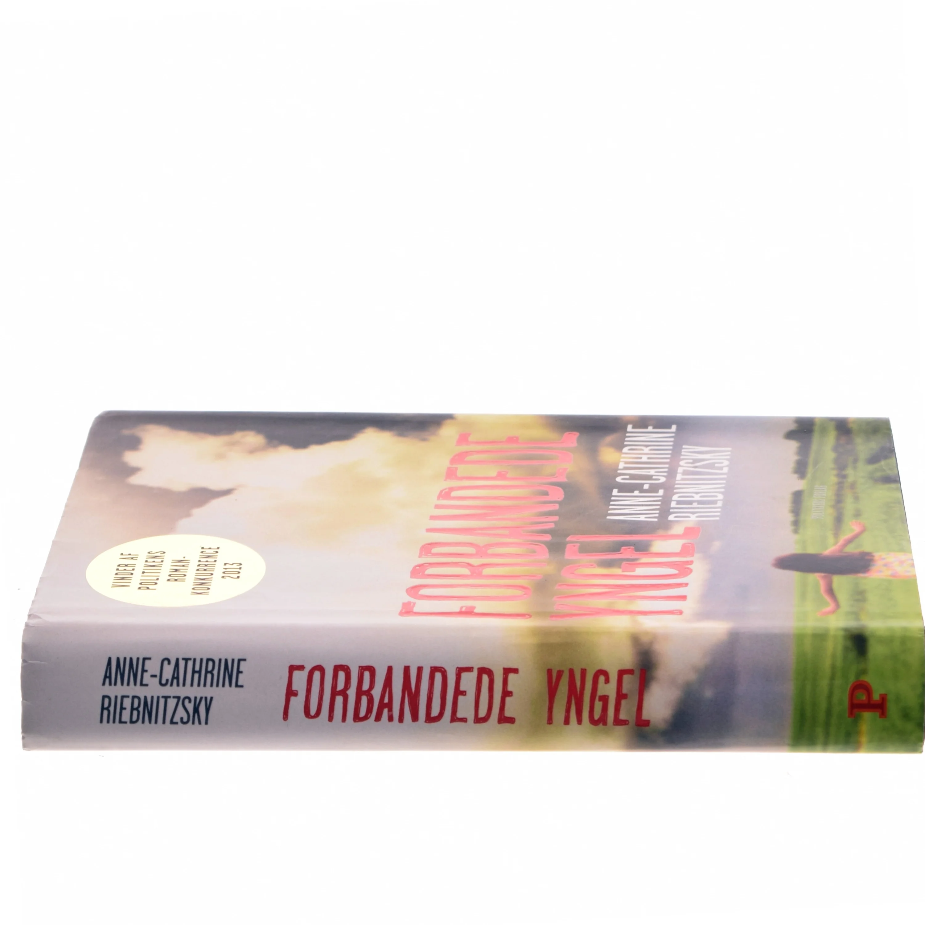 Forbandede yngel (Klassesæt) af Anne-Cathrine Riebnitzsky (Bog)