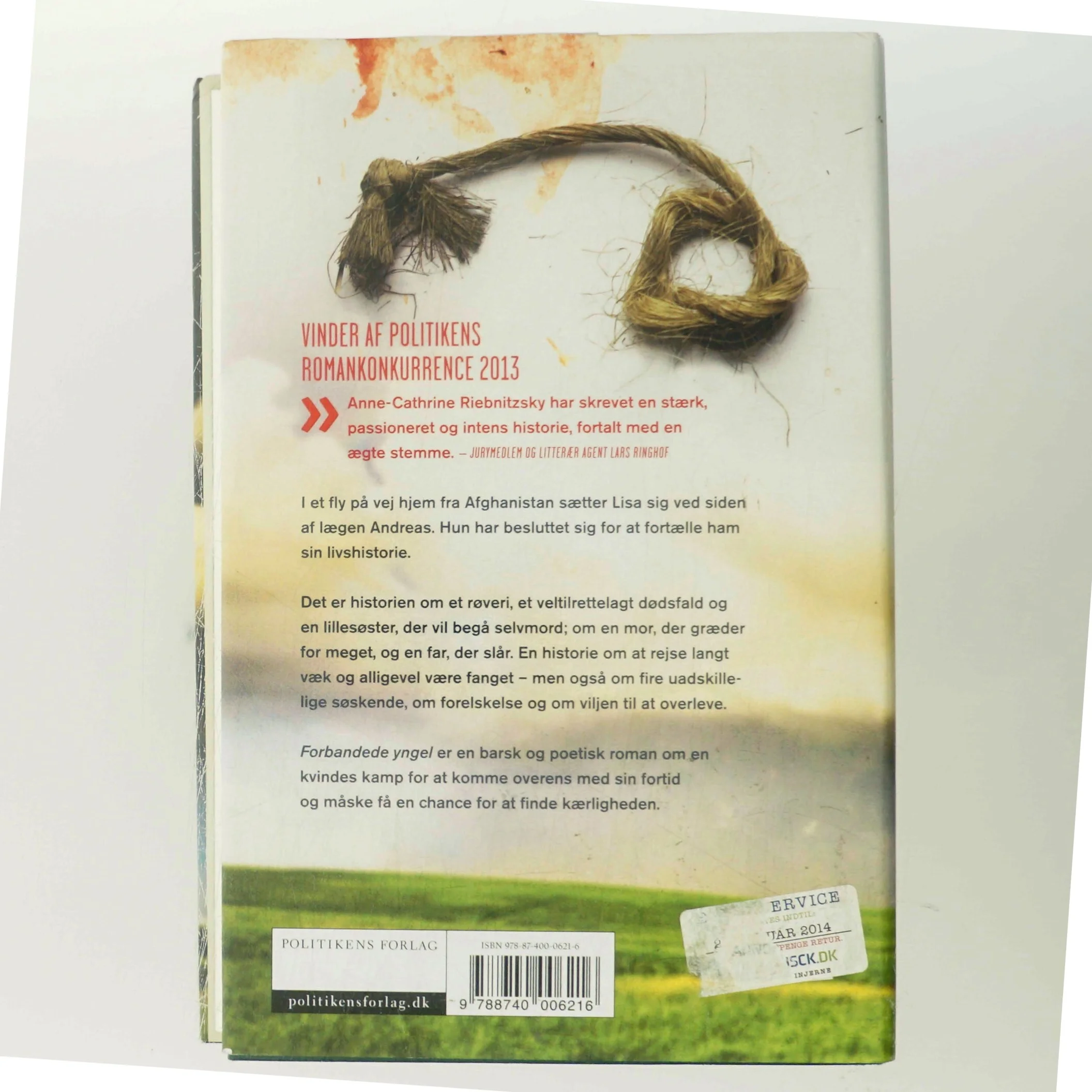 Forbandede yngel (Klassesæt) af Anne-Cathrine Riebnitzsky (Bog)