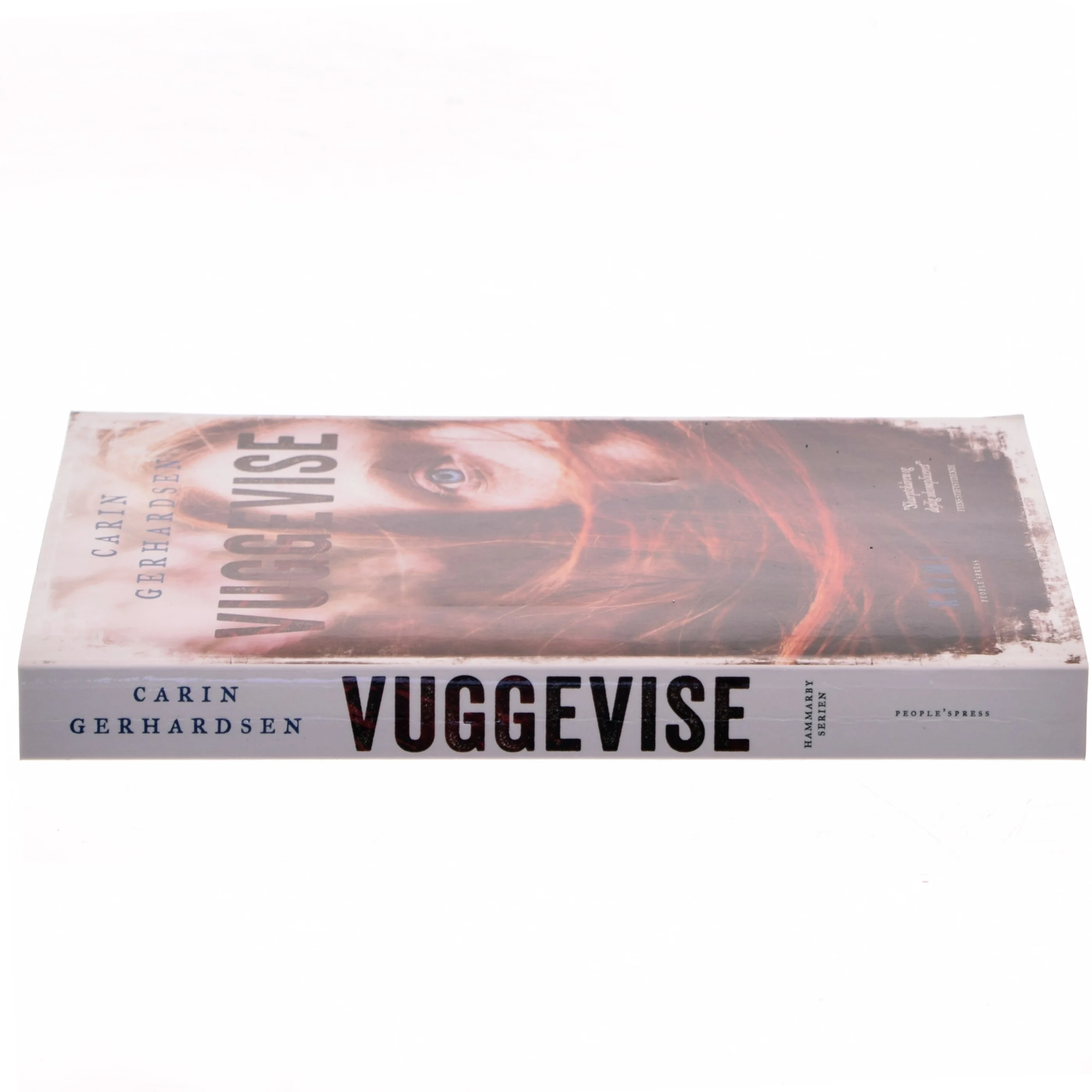 Vuggevise : kriminalroman af Carin Gerhardsen (Bog)