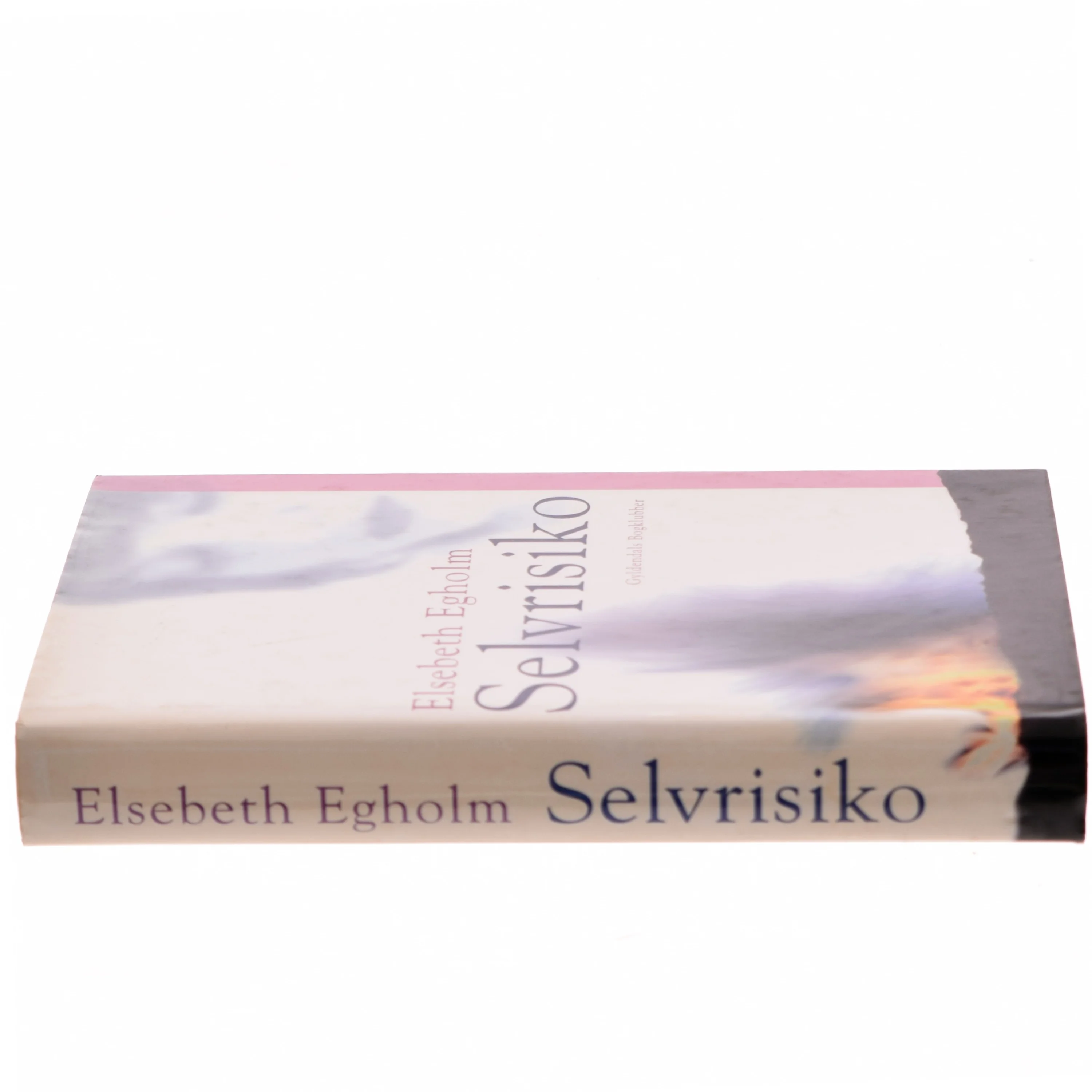 Selvrisiko af Elsebeth Egholm (Bog)