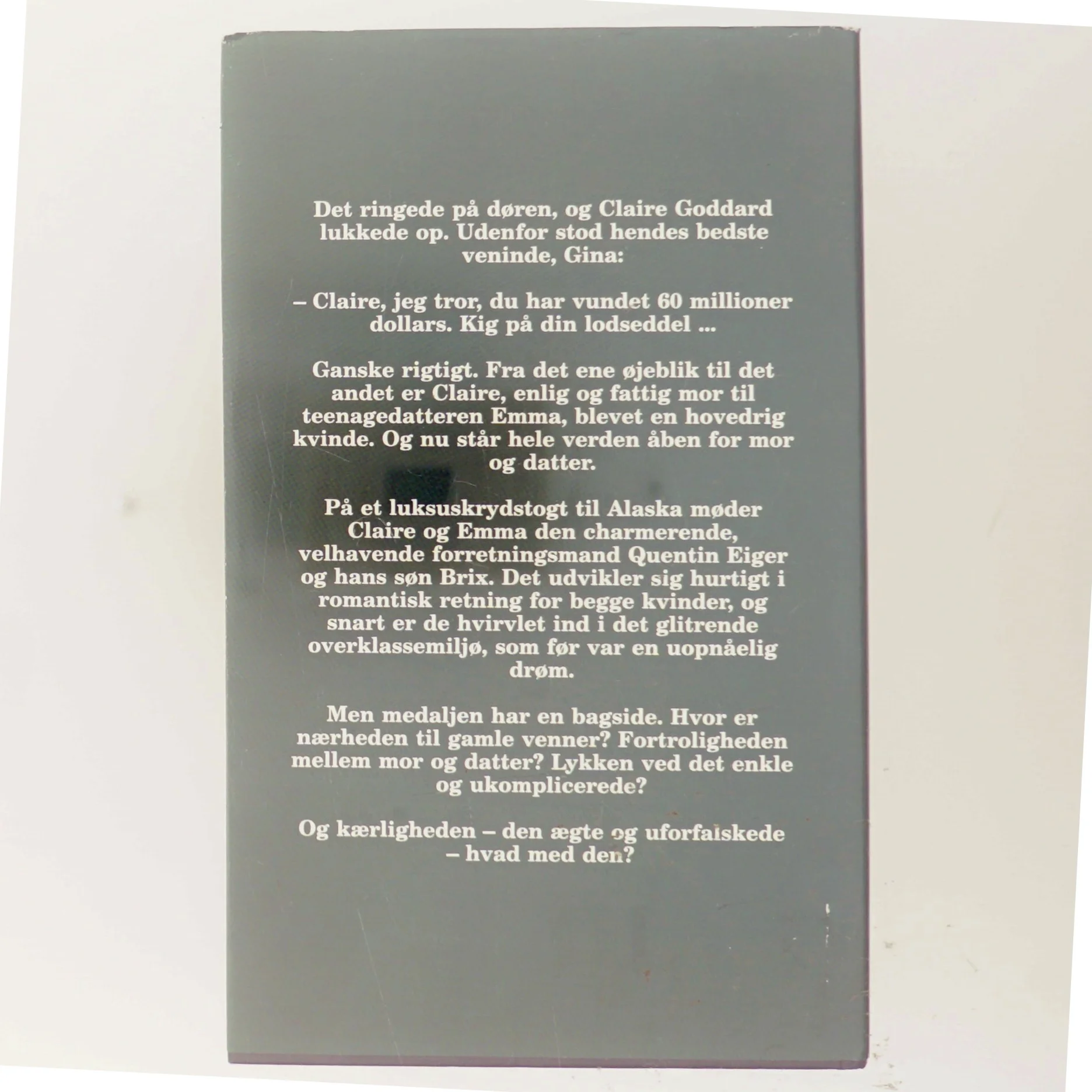 Den store gevinst af Judith Michael