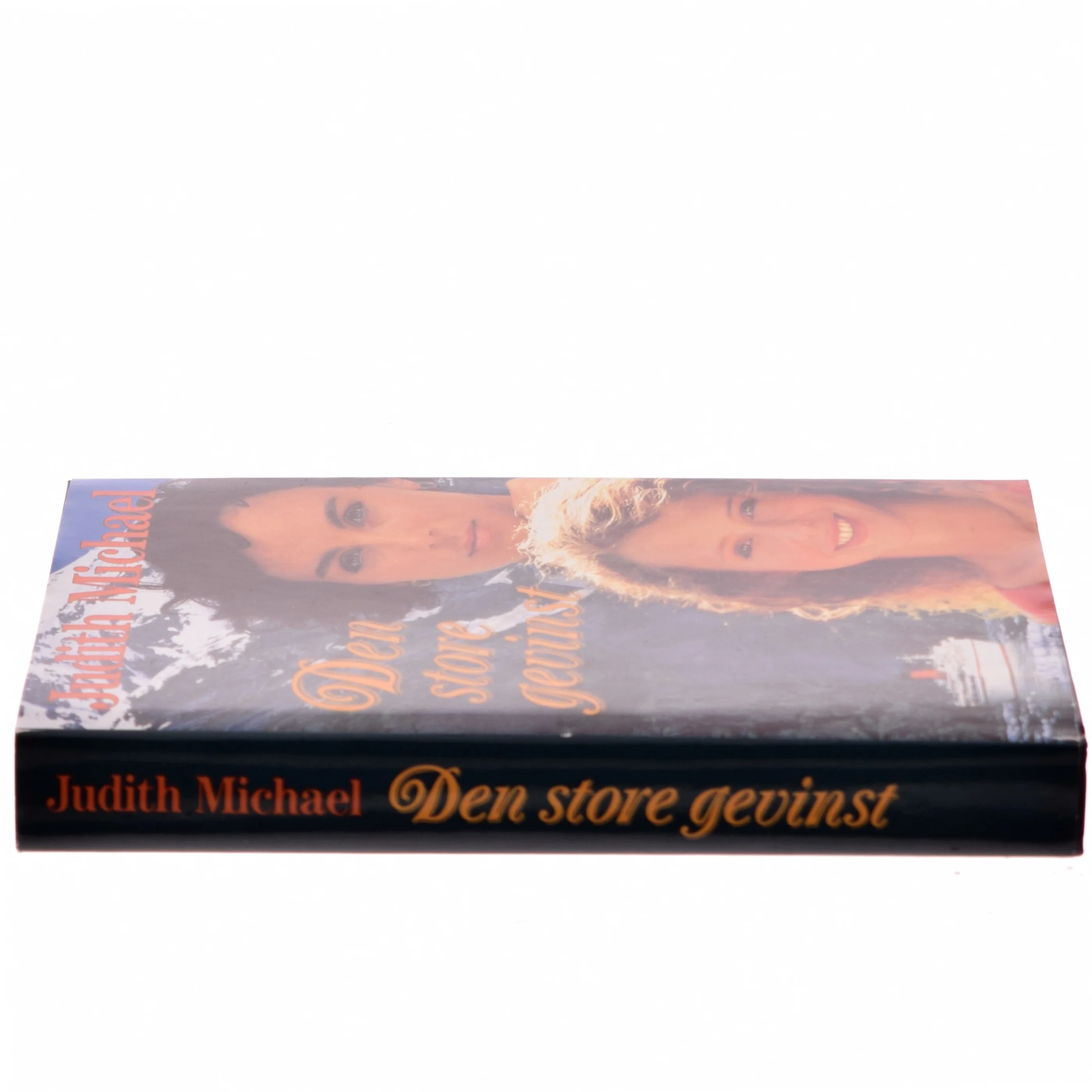 Den store gevinst af Judith Michael
