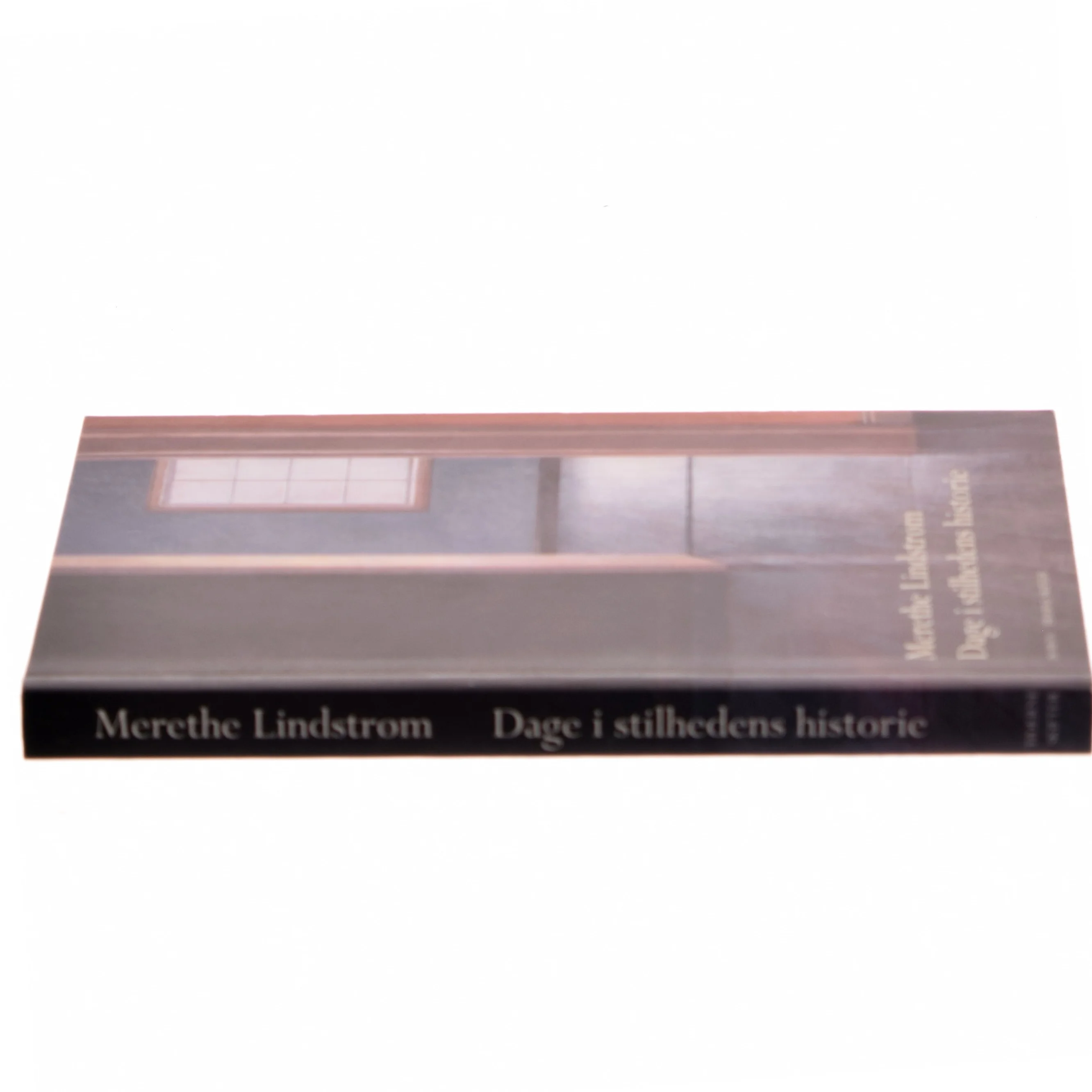 Dage i stilhedens historie af Merethe Lindstrøm (Bog)
