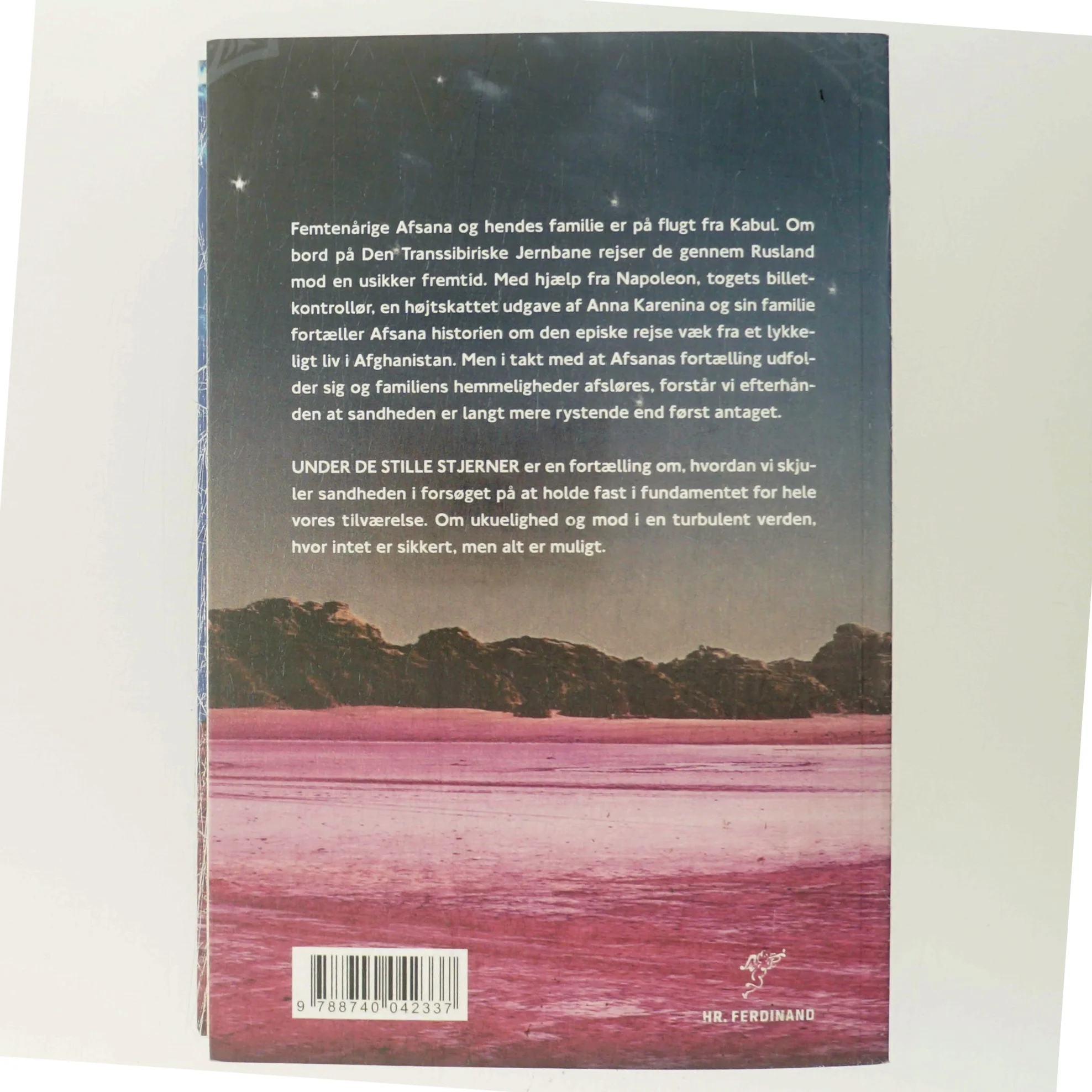 Under de stille stjerner : roman af Laura McVeigh (Bog)