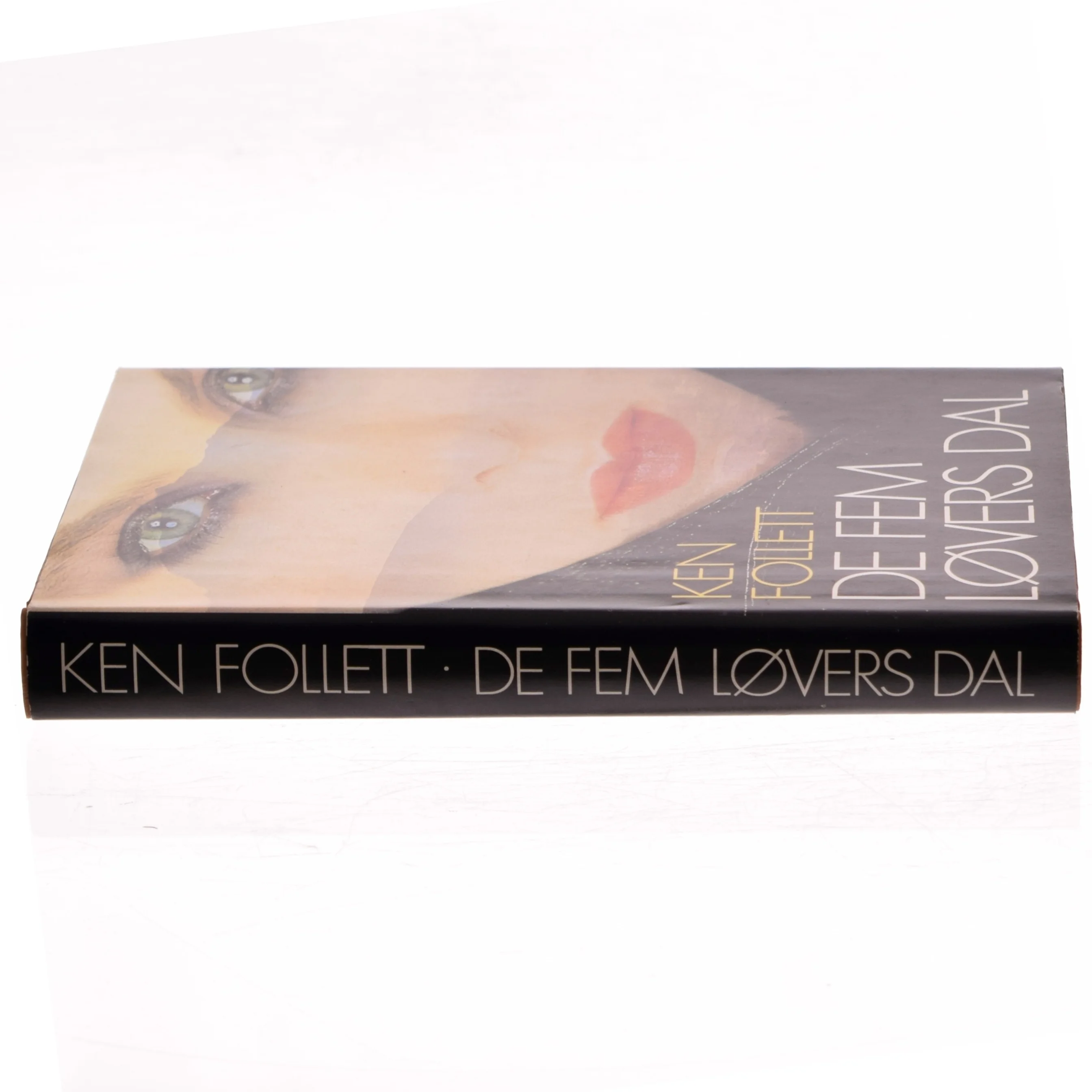 De Fem Løvers Dal af Ken Follett (Bog)