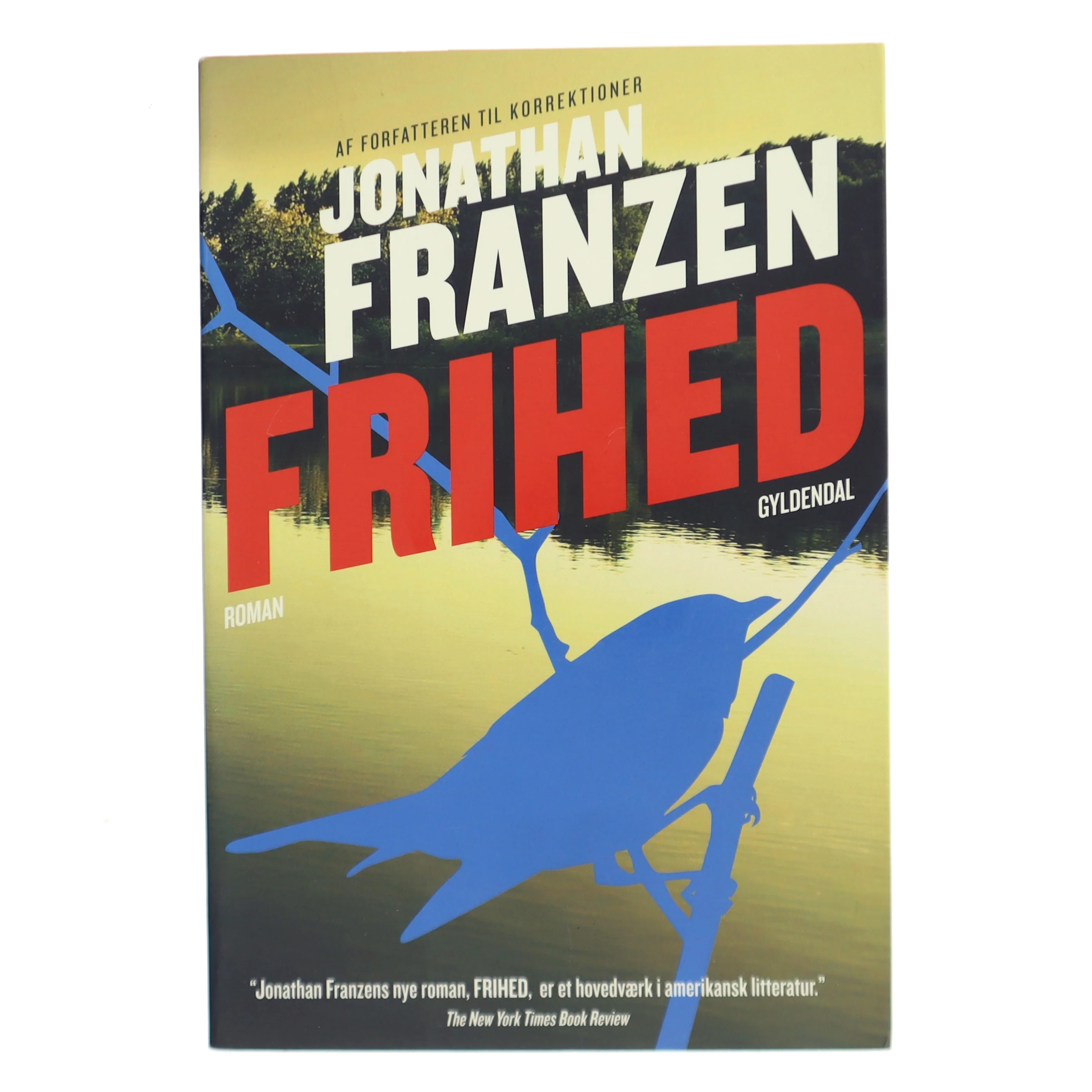 Frihed af Jonathan Franzen (Bog)