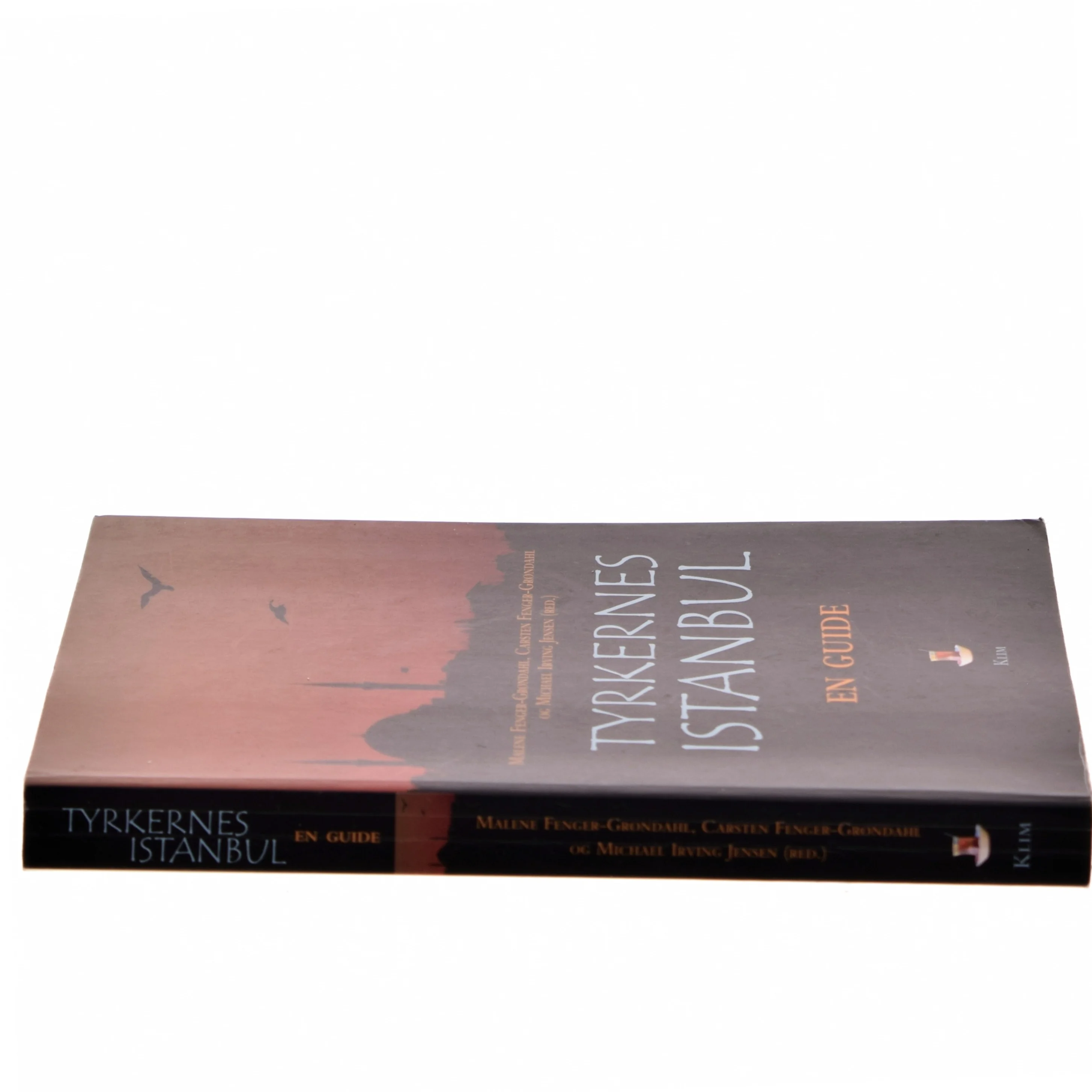 Tyrkernes Istanbul af Malene Fenger-Grøndahl (Bog)