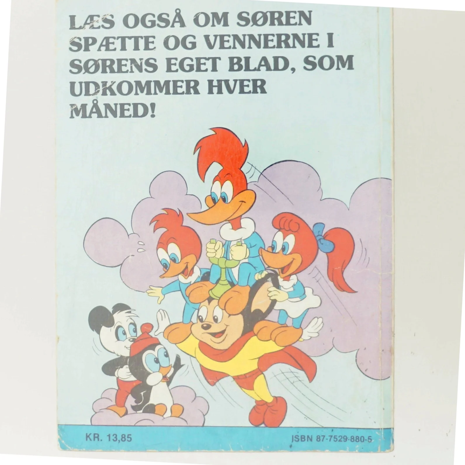 Søren Spætte (Bog)