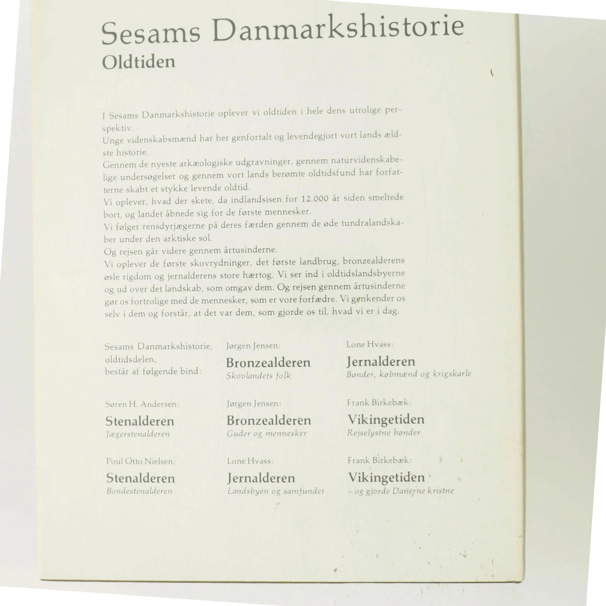 Danmarkshistorien Oldtiden - Jernalderen af Lone Hvass (Bog)