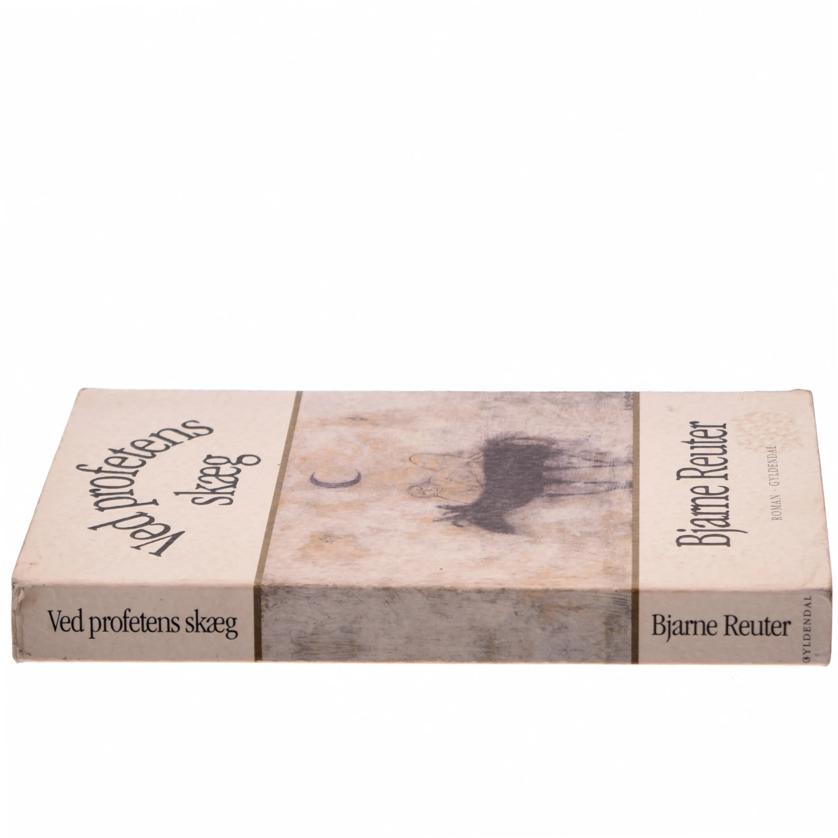 Ved profetens skæg : roman af Bjarne Reuter (Bog)