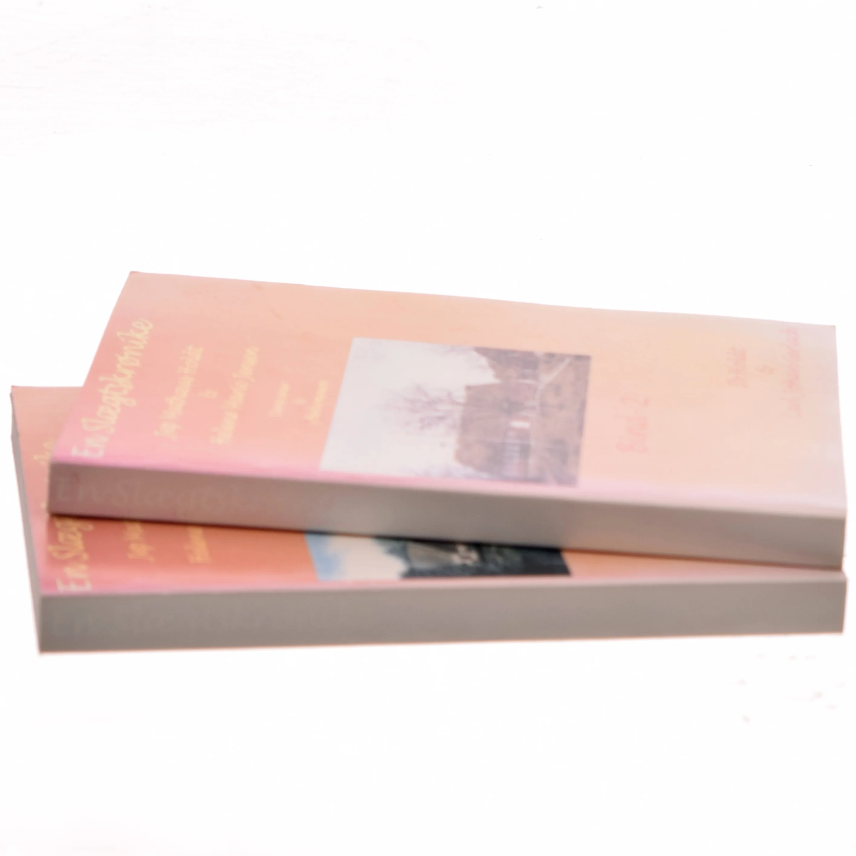 En Slægtskrønike af Ib Holdt (Bog)