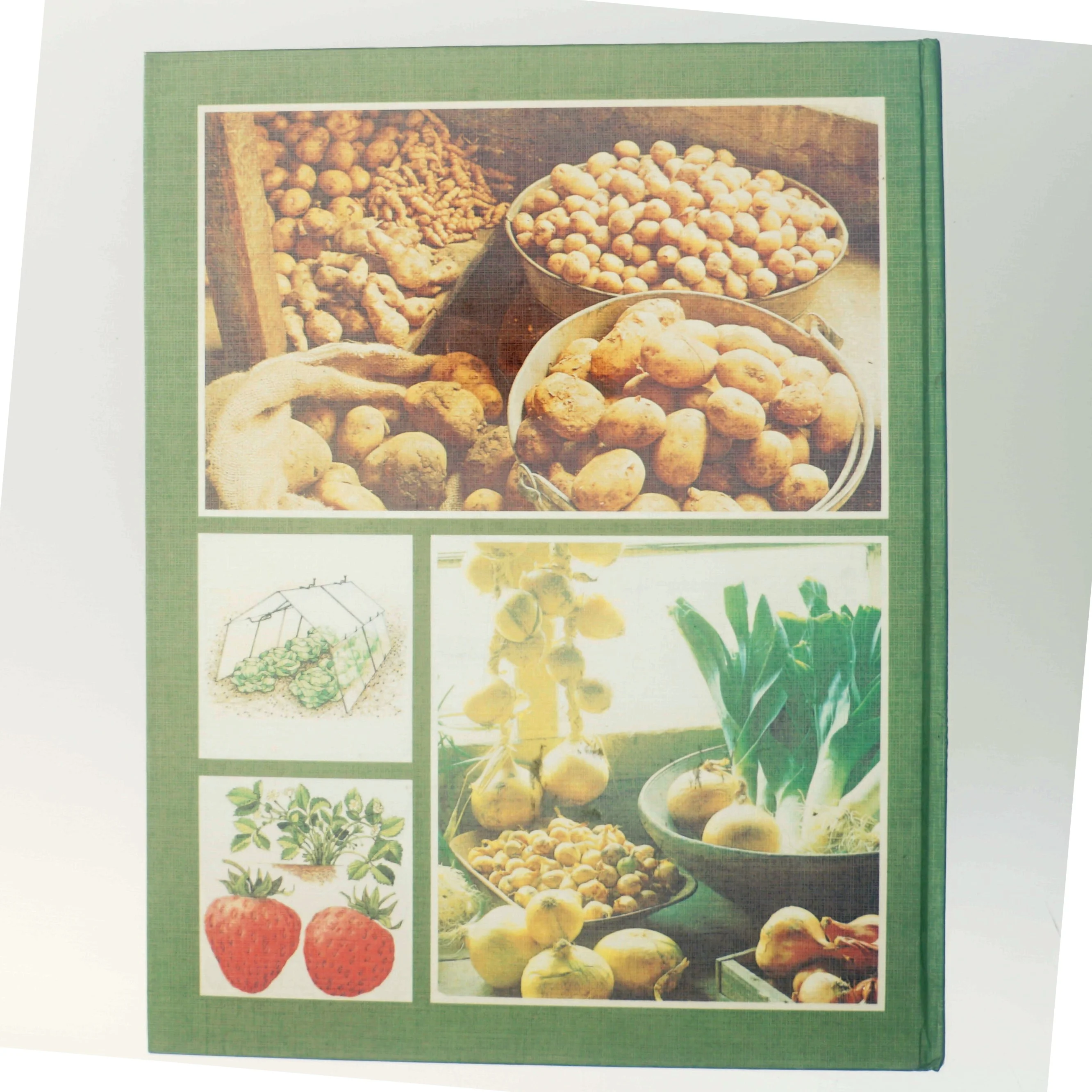 Få glæde af køkkenhaven ude og inde (Bog)