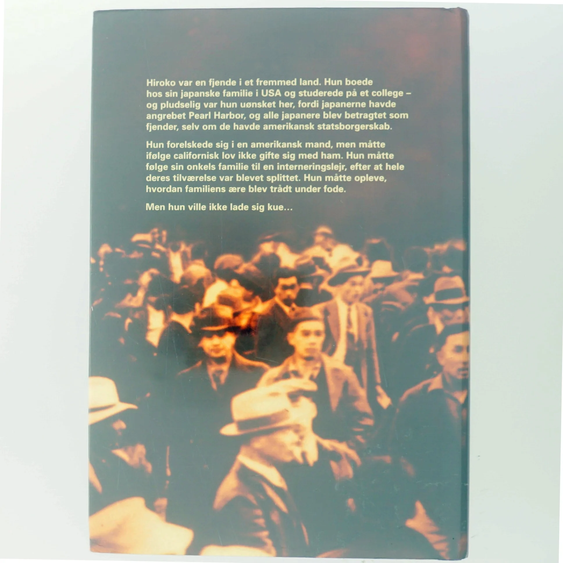 Familiens ære, Danielle Steel