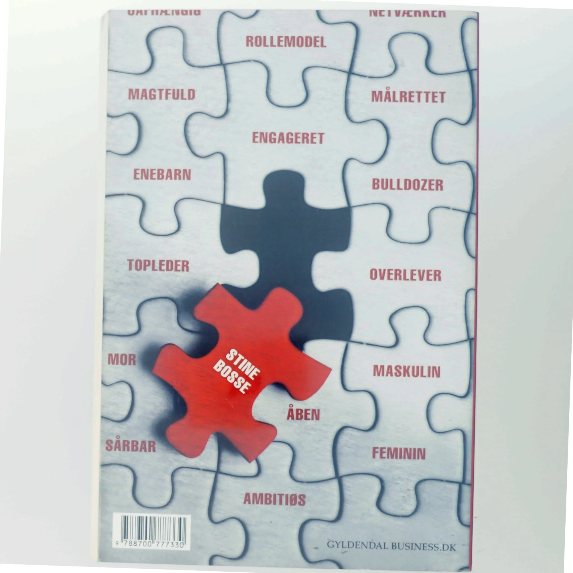 Stine Bosse : det handler om at turde af Jens Chr. Hansen (f. 1952) (Bog)