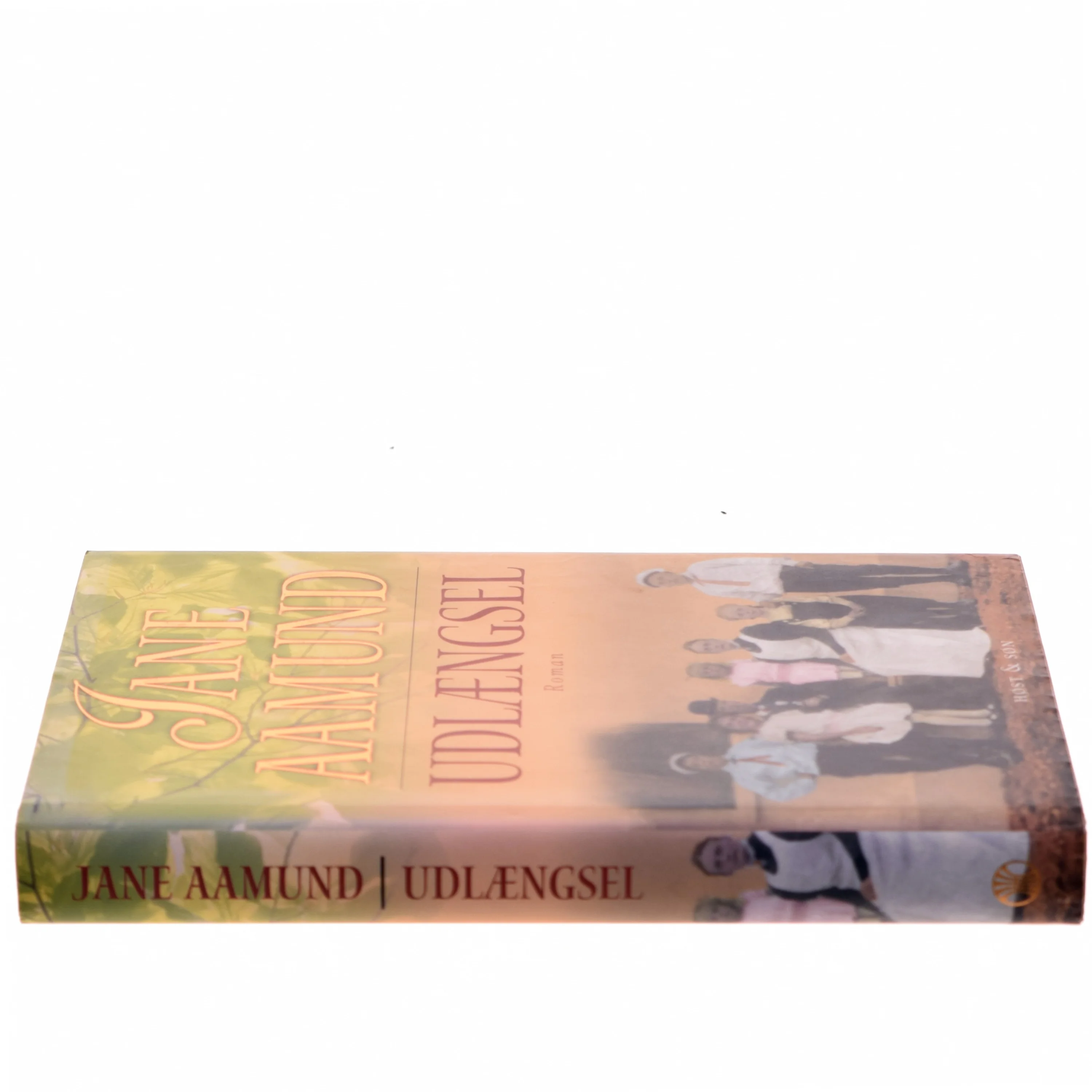 Udlængsel af Jane Aamund (Bog)