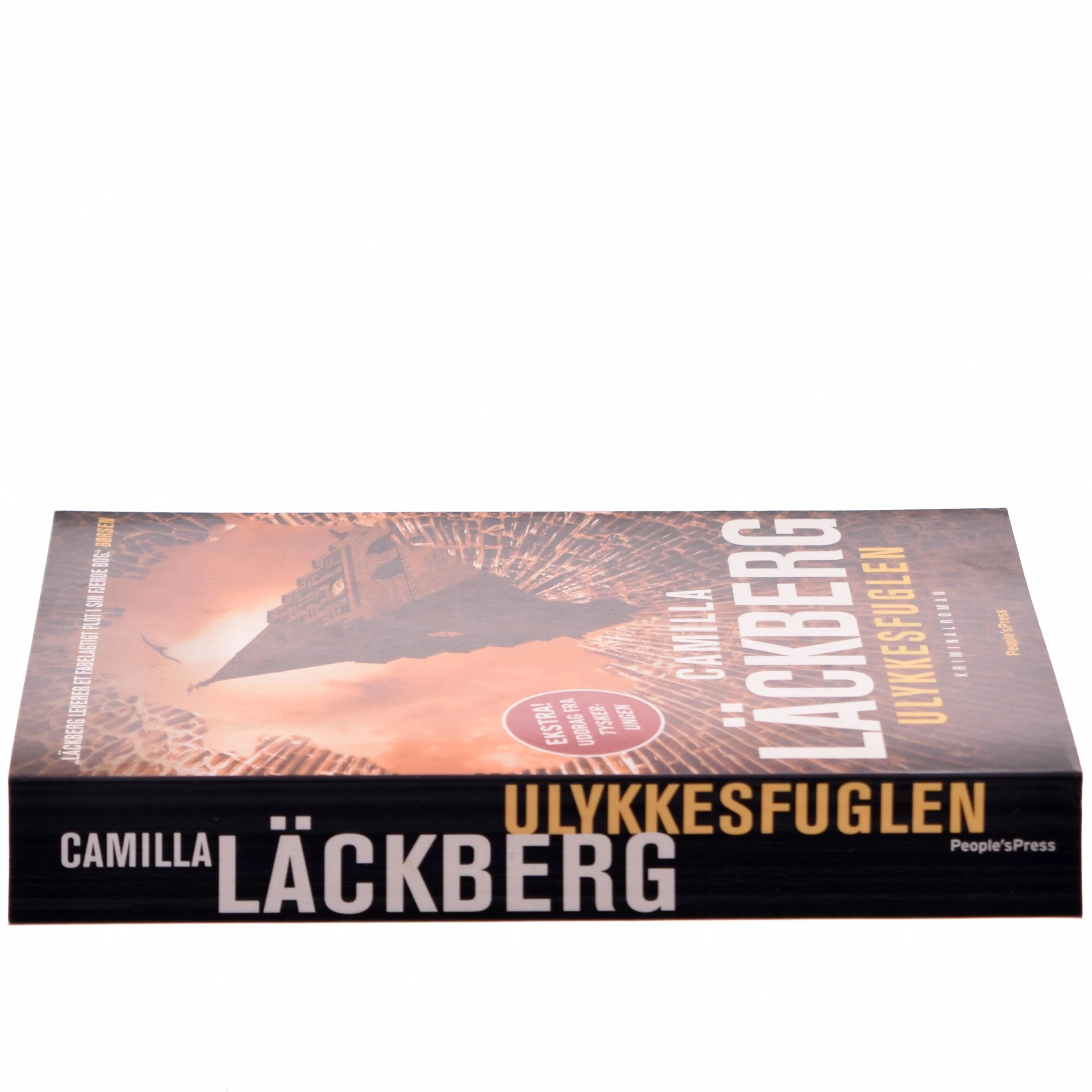 Ulykkesfuglen : kriminalroman af Camilla Läckberg (Bog)