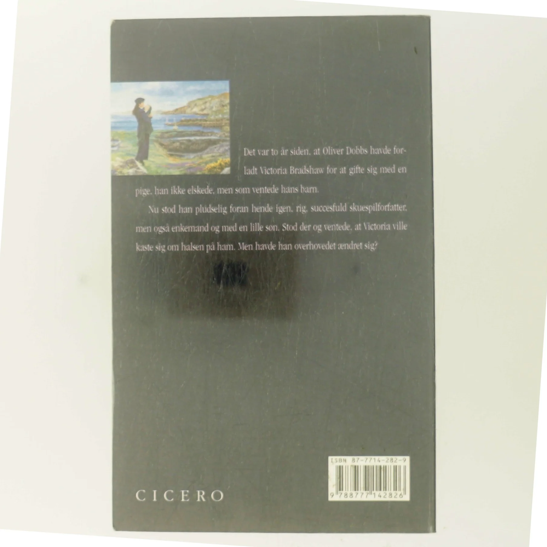 Vild Timian af Rosamunde Pilcher (Bog)