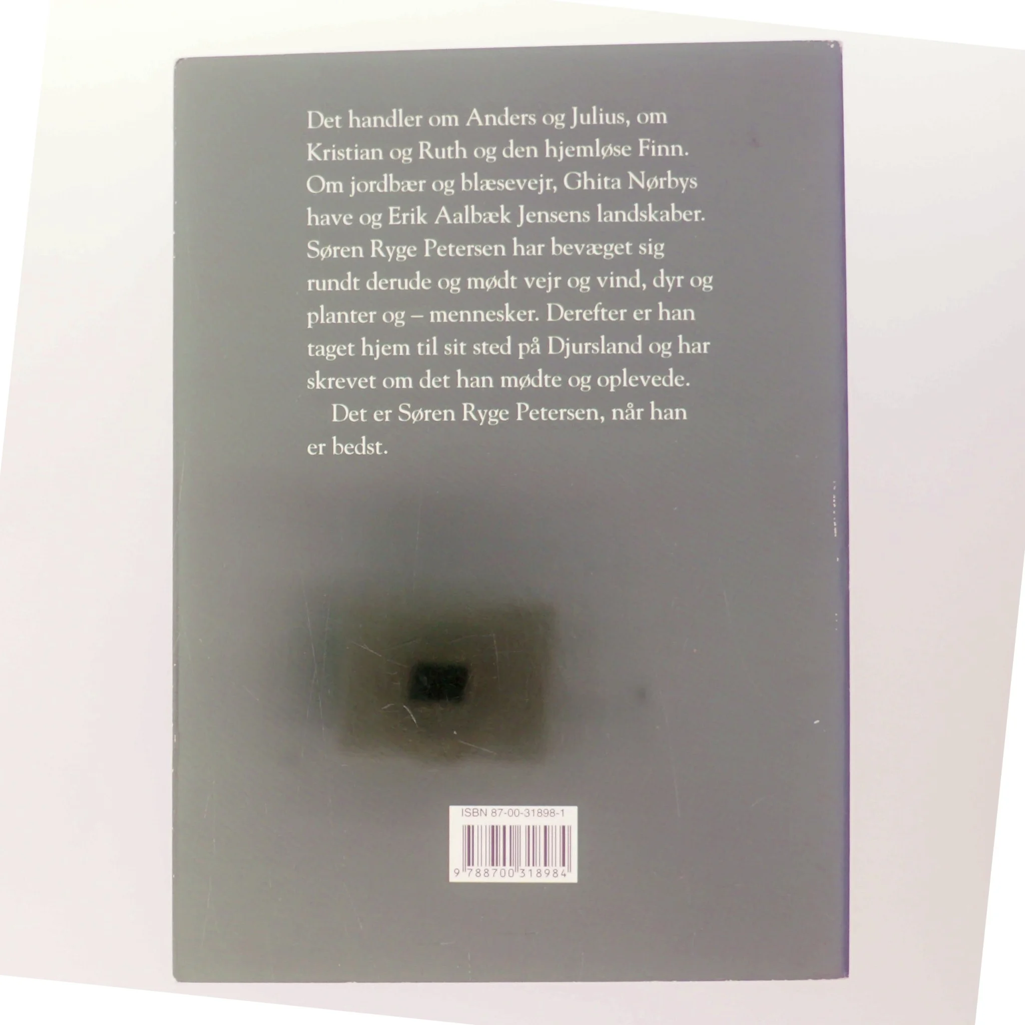 Den glade digter af Søren Ryge Petersen (Bog)