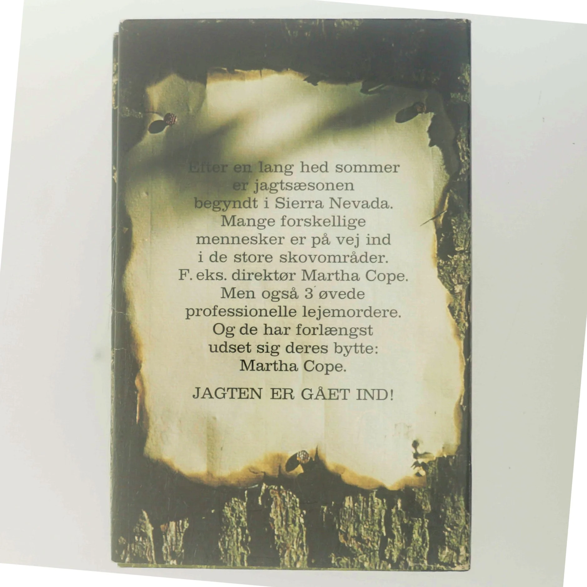 Jagten går ind af Pat Stadley (Bog)