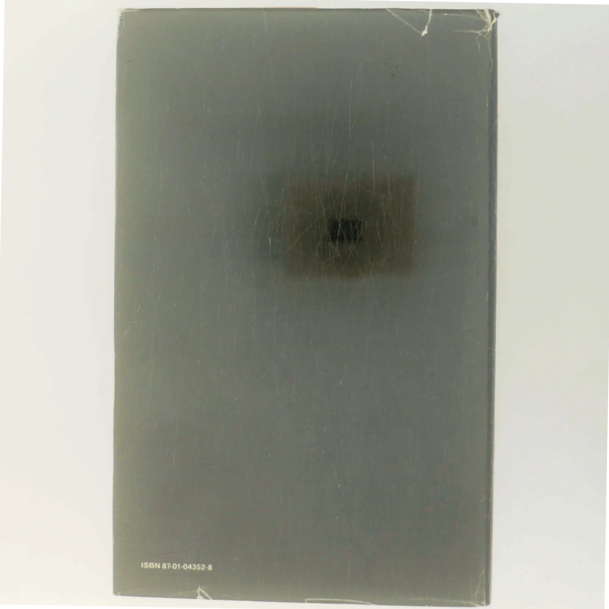 Anna og Christian af Åke Leijonhufvud (Bog)