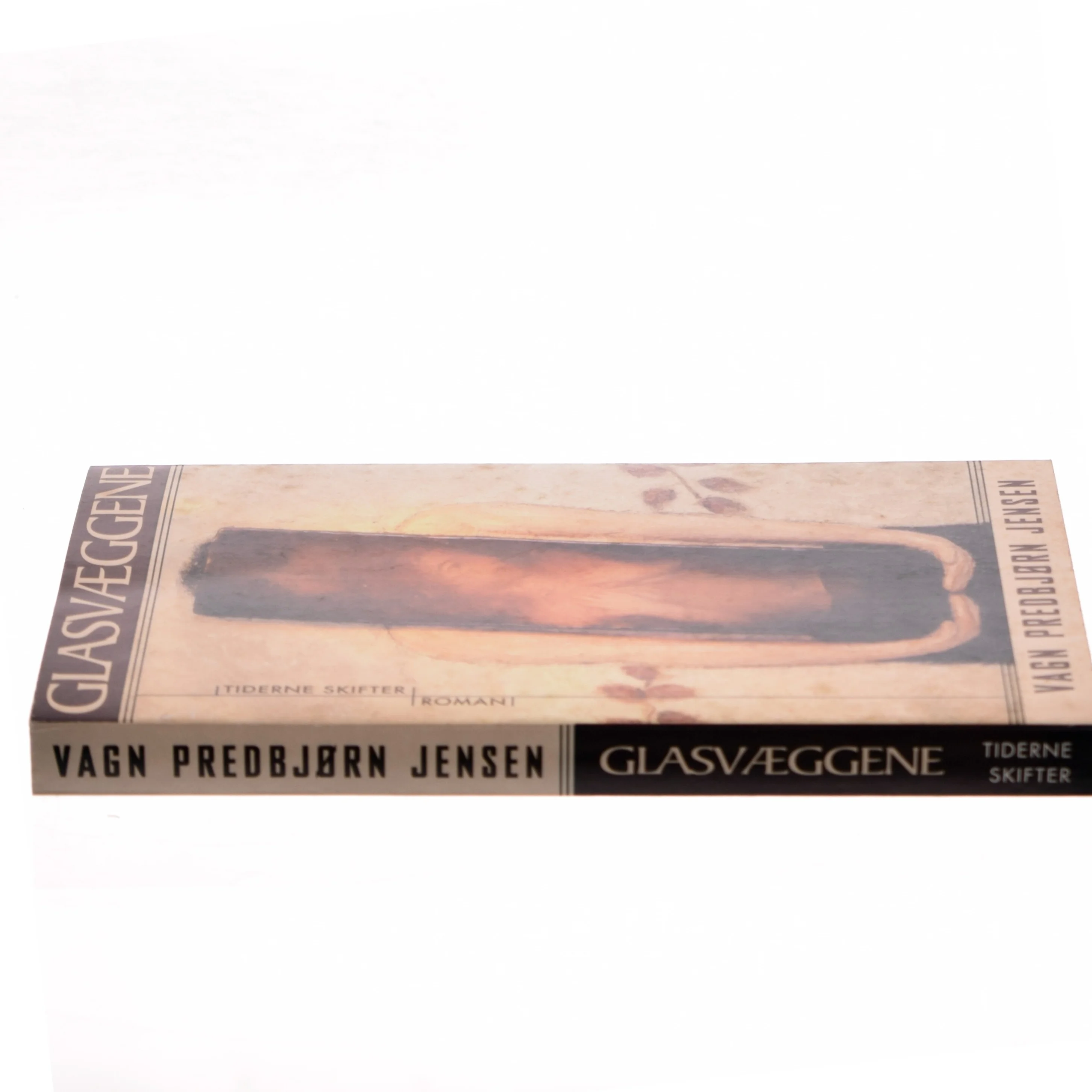 Glasvæggene : roman af Vagn Predbjørn Jensen (Bog)