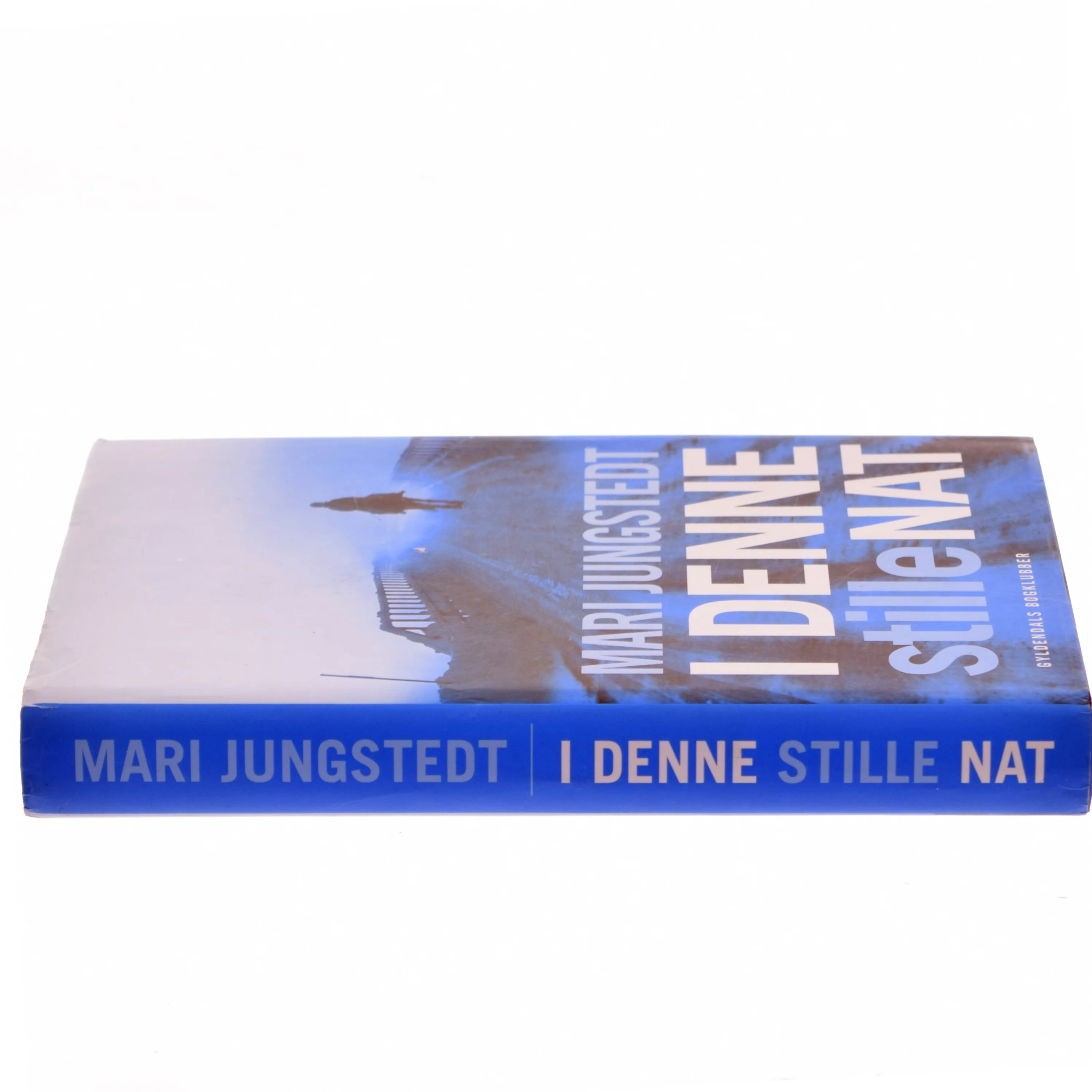 I denne stille nat : roman af Mari Jungstedt (Bog)