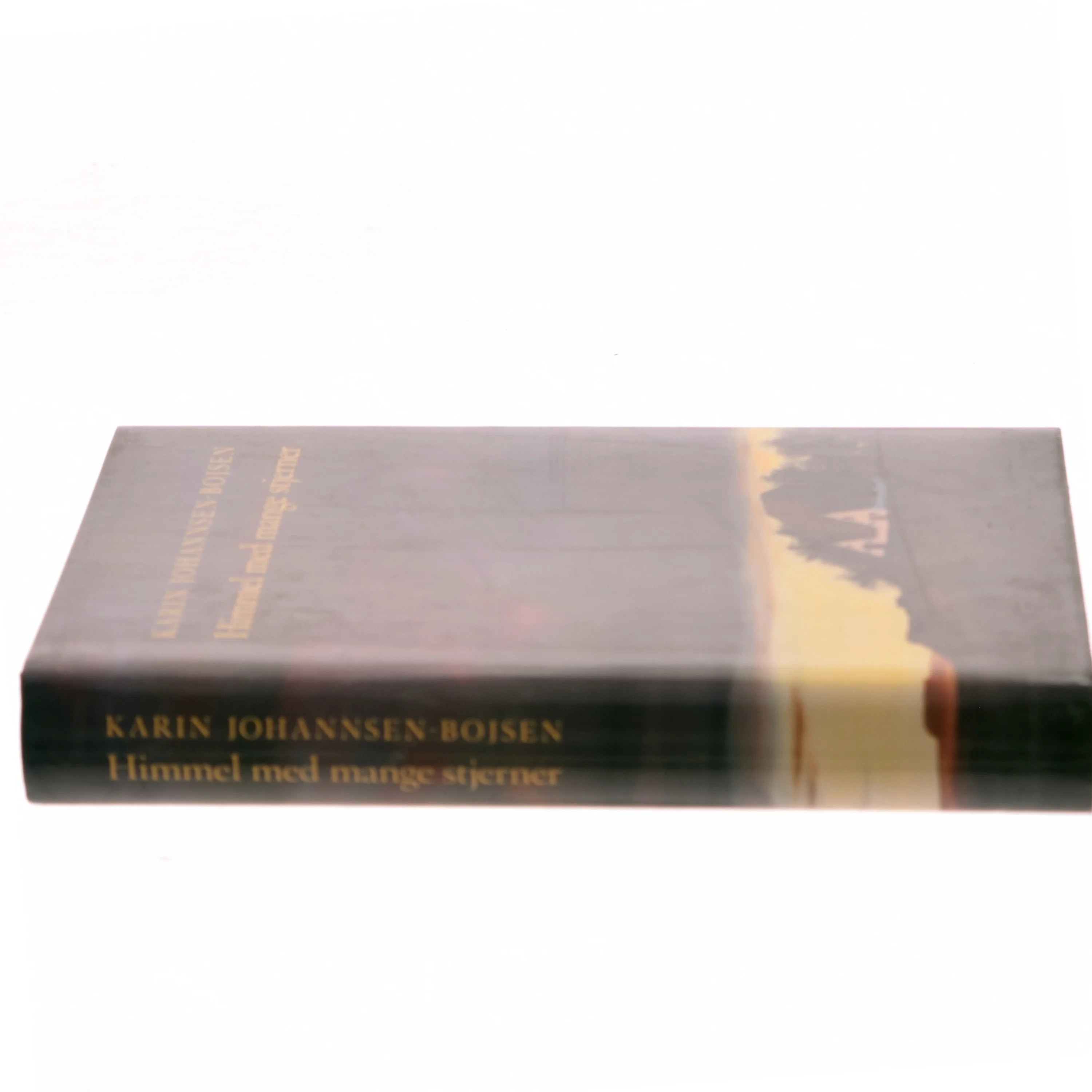 Himmel med mange stjerner af Karin Johannsen-Bojsen (Bog)